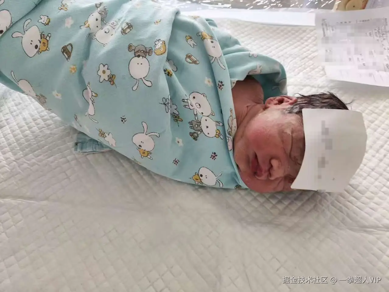 一拳超人VIP于2024-12-06 17:02发布的图片