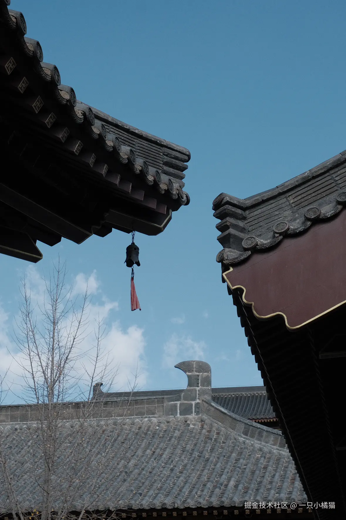 一只小橘猫于2024-11-17 16:56发布的图片