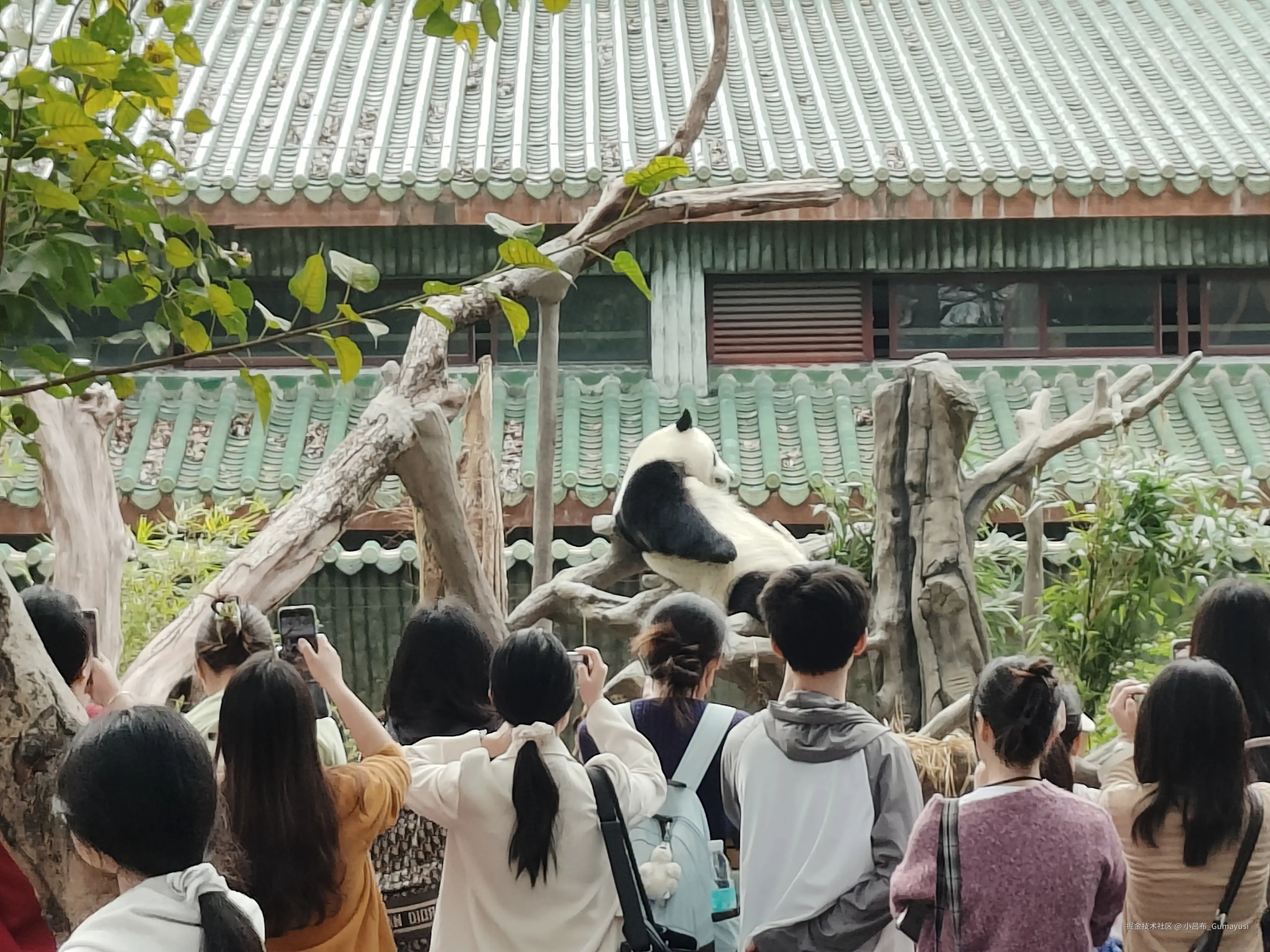 小吕布_Gumayusi于2025-03-03 09:36发布的图片