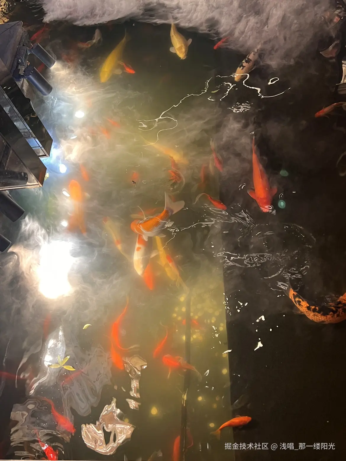 浅唱_那一缕阳光于2025-11-18 10:05发布的图片