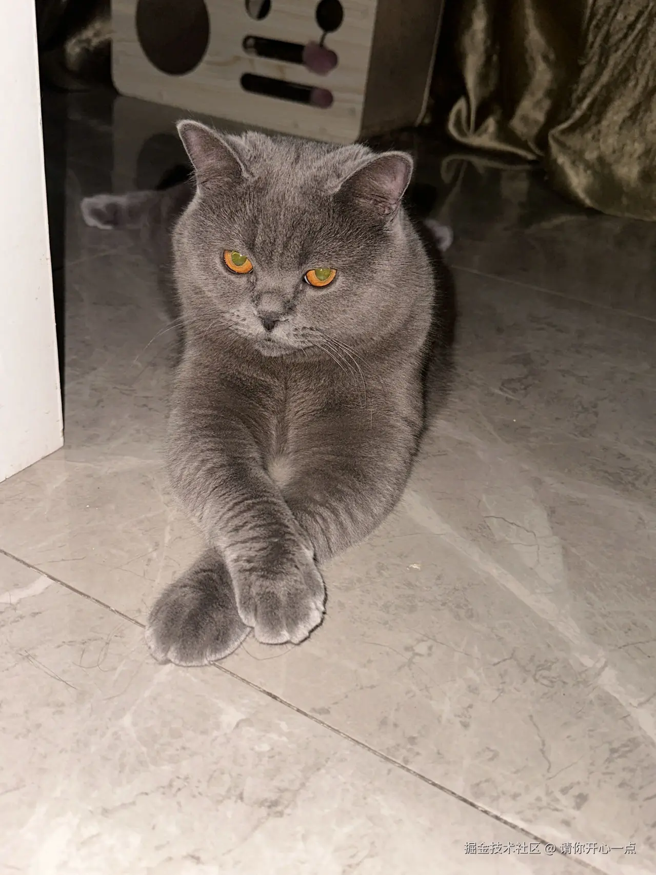 请你开心一点于2024-09-06 17:21发布的图片