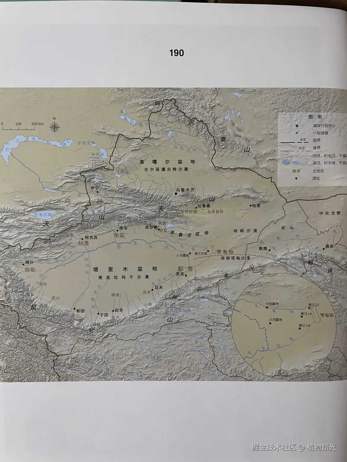 植物昂光于2026-03-20 20:10发布的图片