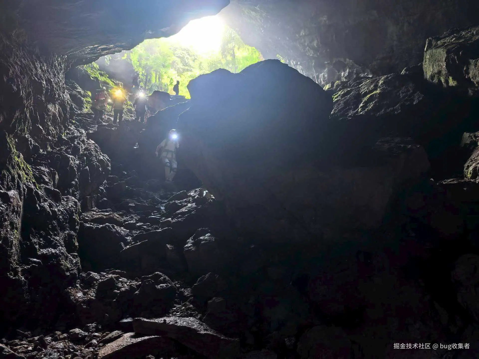 bug收集者于2025-08-11 11:32发布的图片