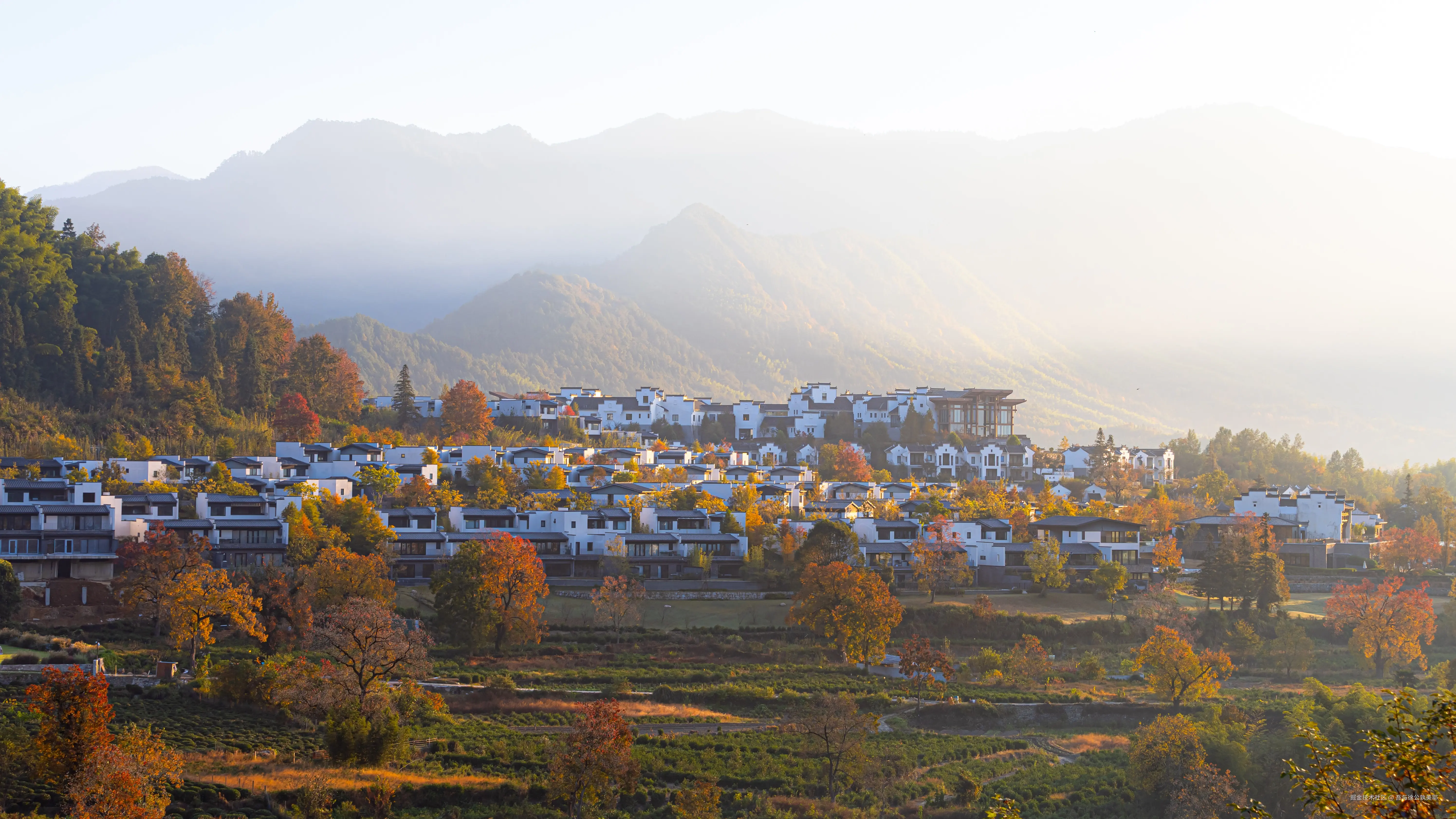 吾与徐公孰美耶于2025-11-18 13:46发布的图片