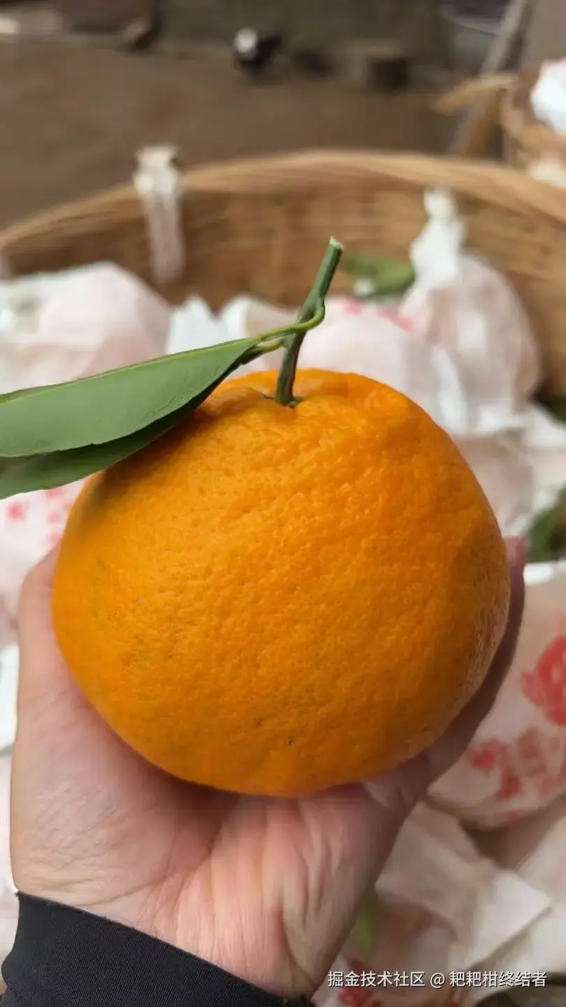 耙耙柑终结者于2026-01-13 10:06发布的图片