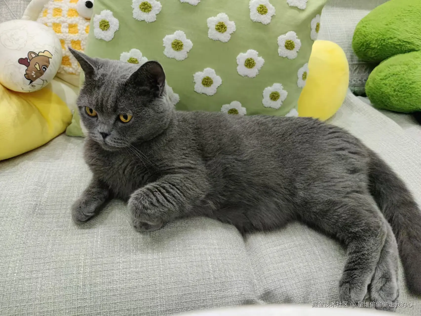 是谁偷偷偷走我的心于2024-12-10 10:13发布的图片