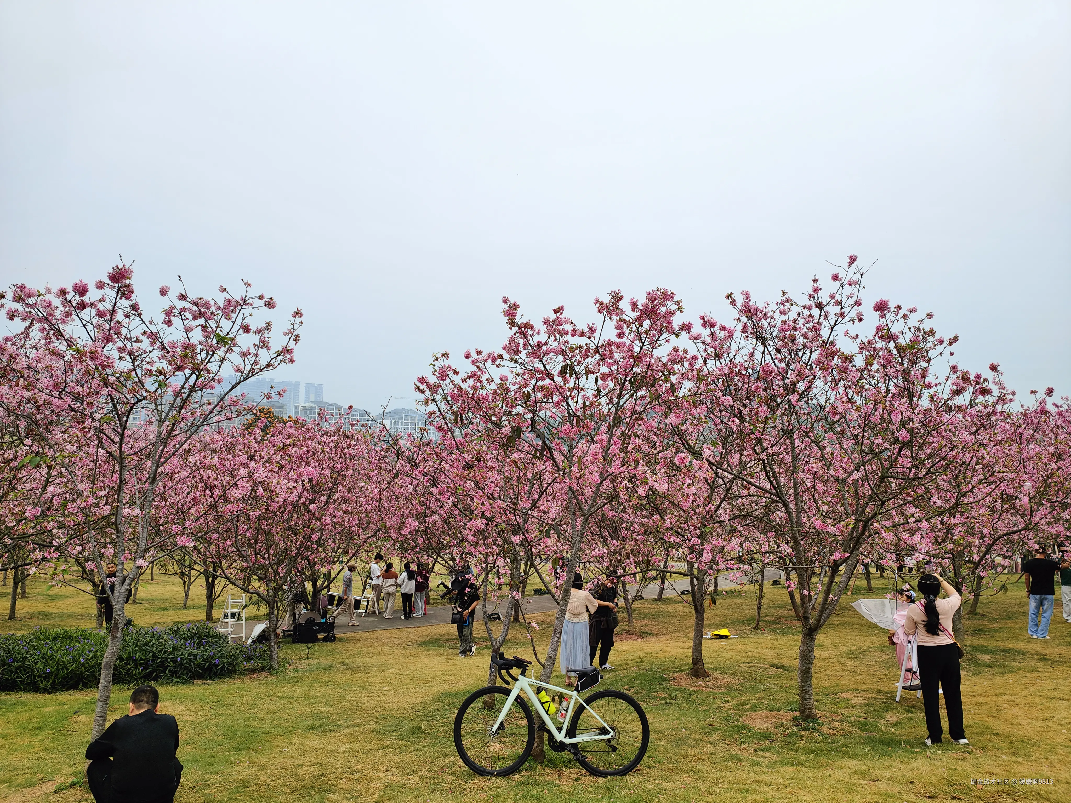 媛媛啊9813于2026-03-22 11:10发布的图片