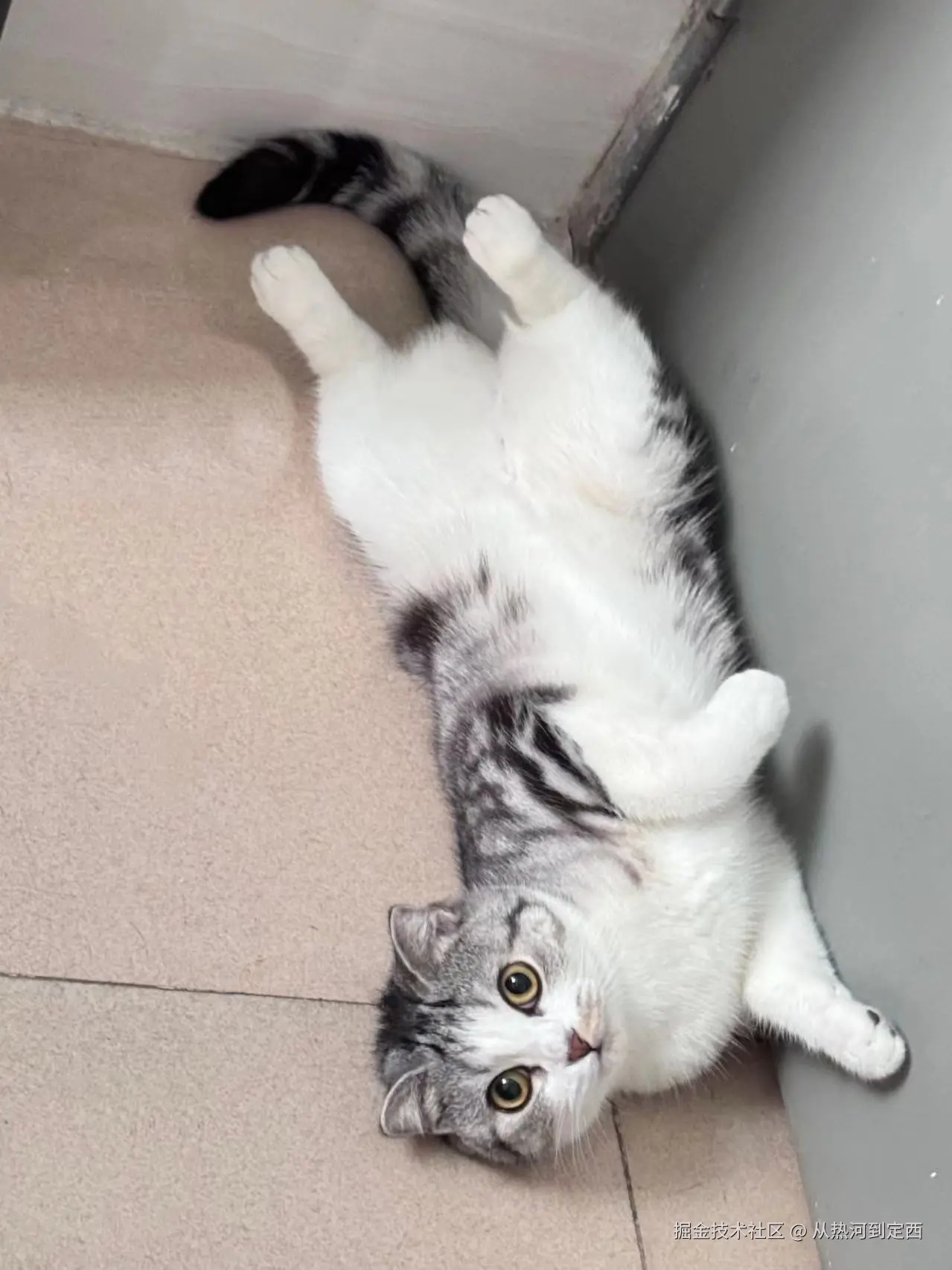 从热河到定西于2024-08-27 08:35发布的图片