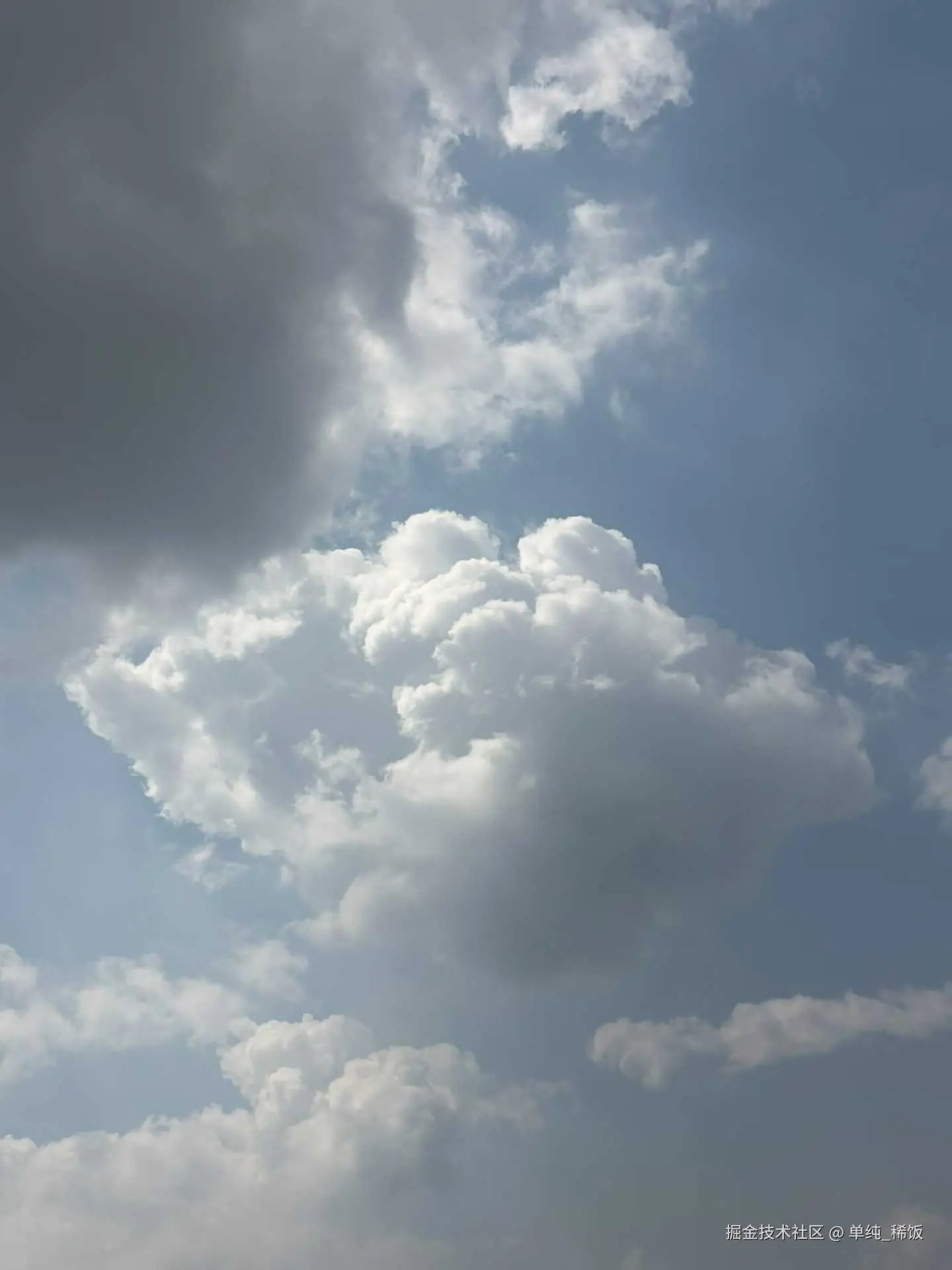 单纯_稀饭于2026-03-28 13:23发布的图片