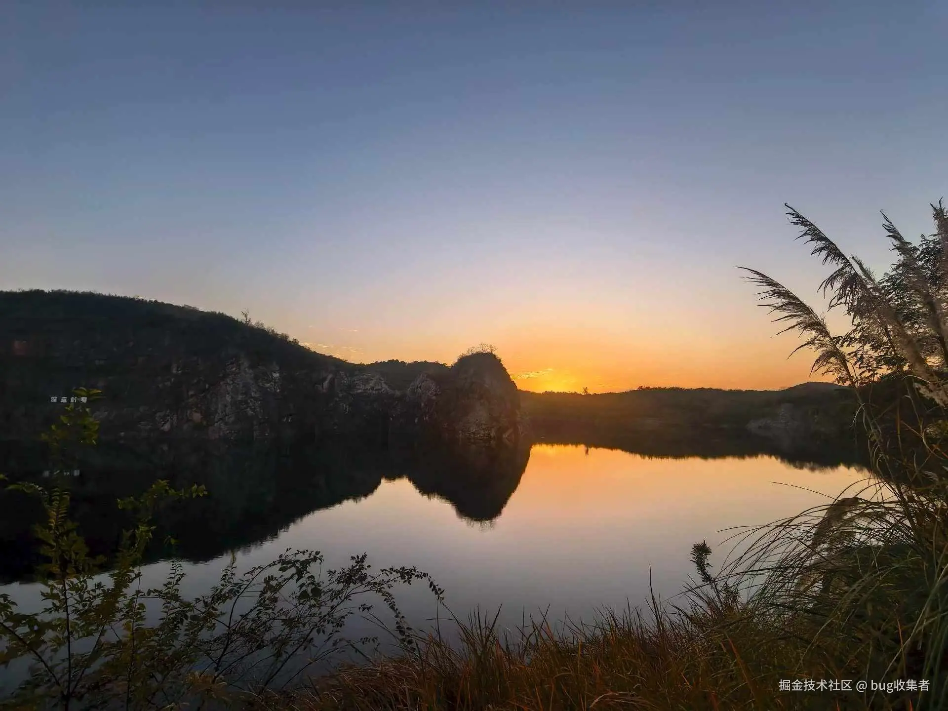 bug收集者于2025-12-01 11:25发布的图片