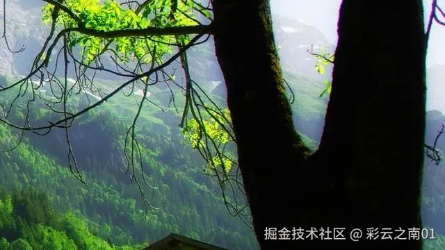 彩云之南01于2025-05-13 15:53发布的图片