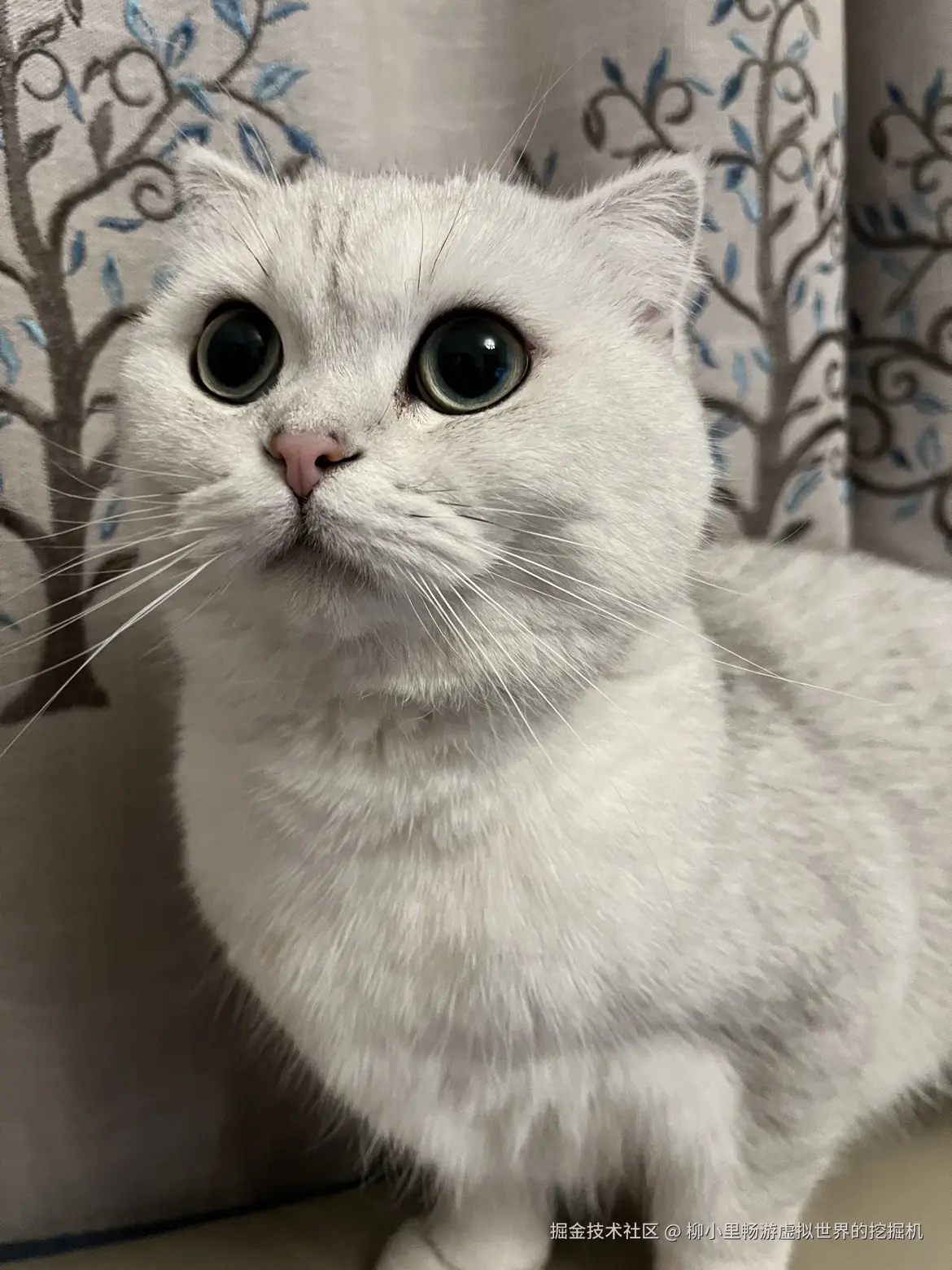 柳小里畅游虚拟世界的挖掘机于2025-11-18 16:34发布的图片