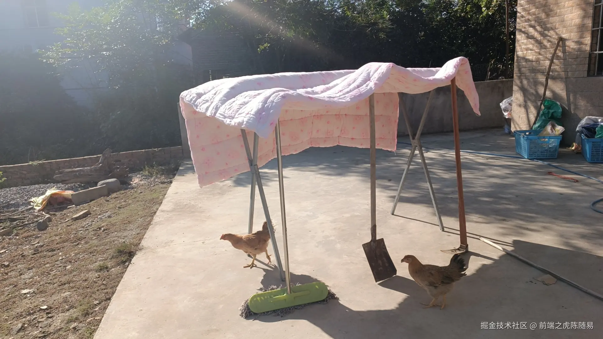 前端之虎陈随易于2024-11-01 08:49发布的图片