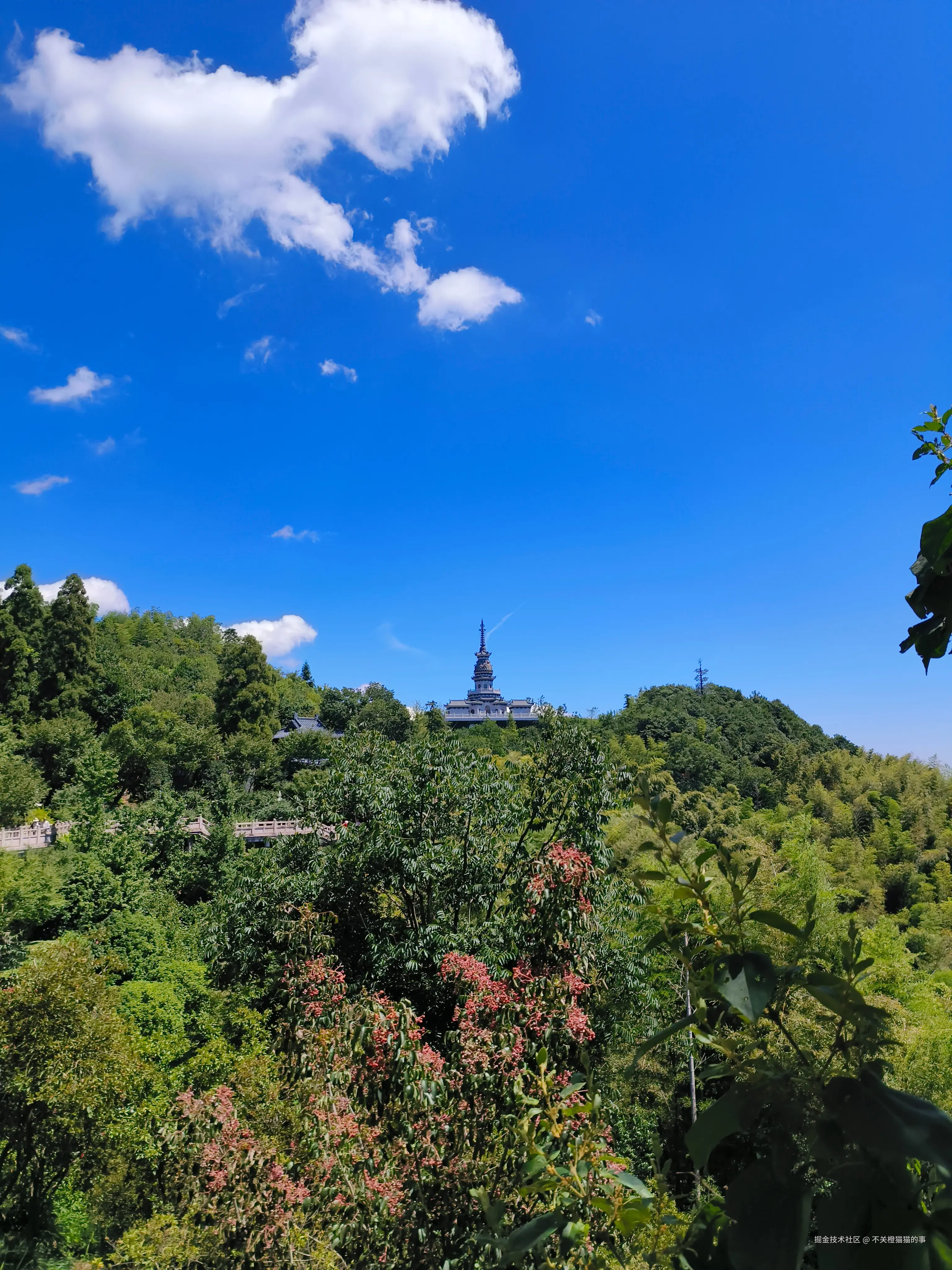 不关橙猫猫的事于2025-08-25 15:39发布的图片