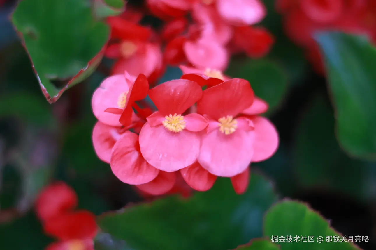 那我关月亮咯于2024-07-23 05:38发布的图片