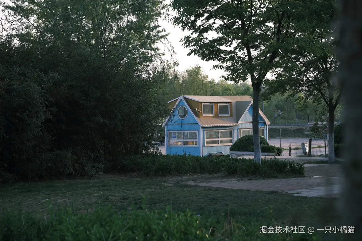 一只小橘猫于2025-04-21 11:16发布的图片