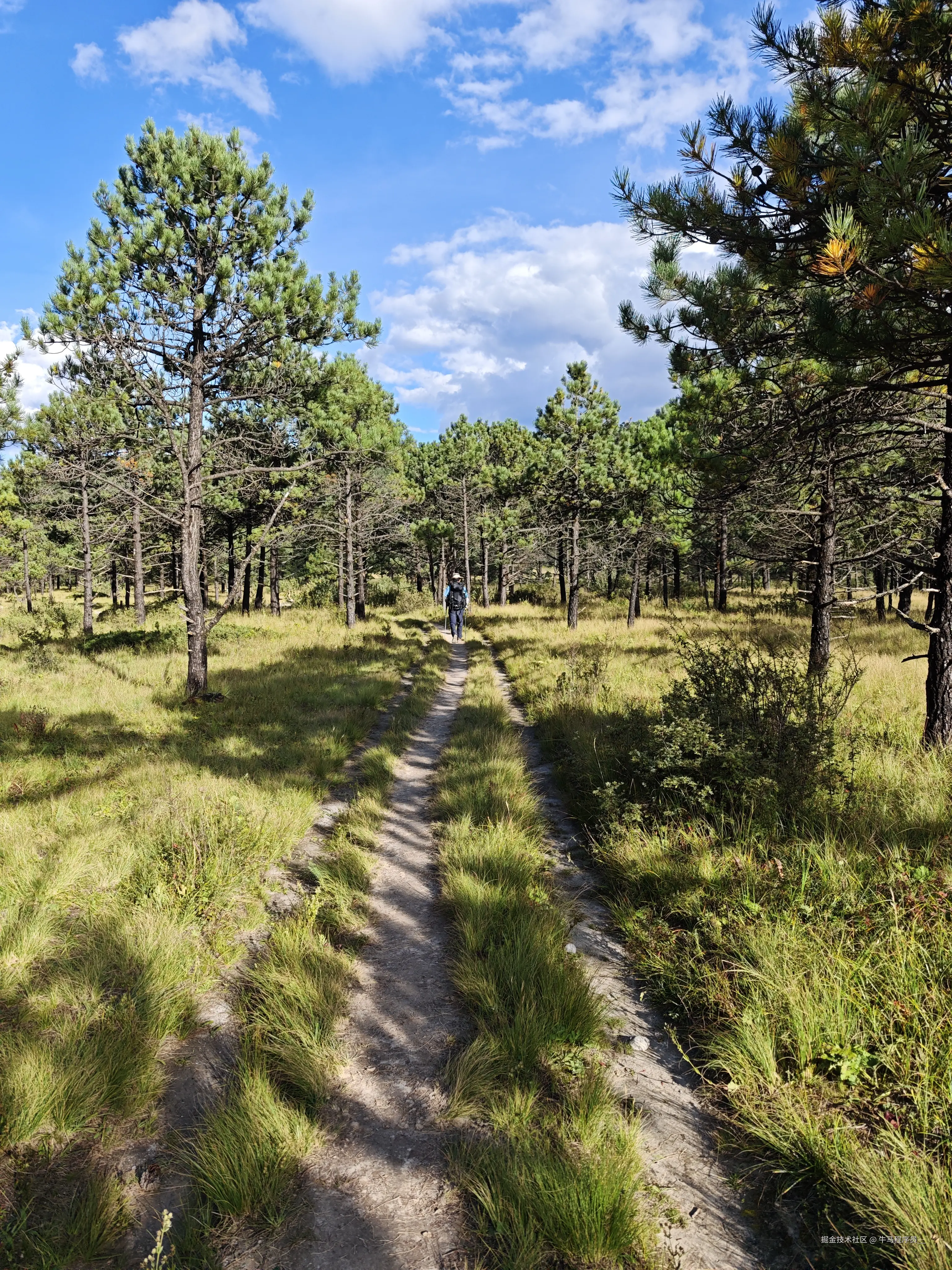 牛马程序员__于2025-10-09 13:51发布的图片