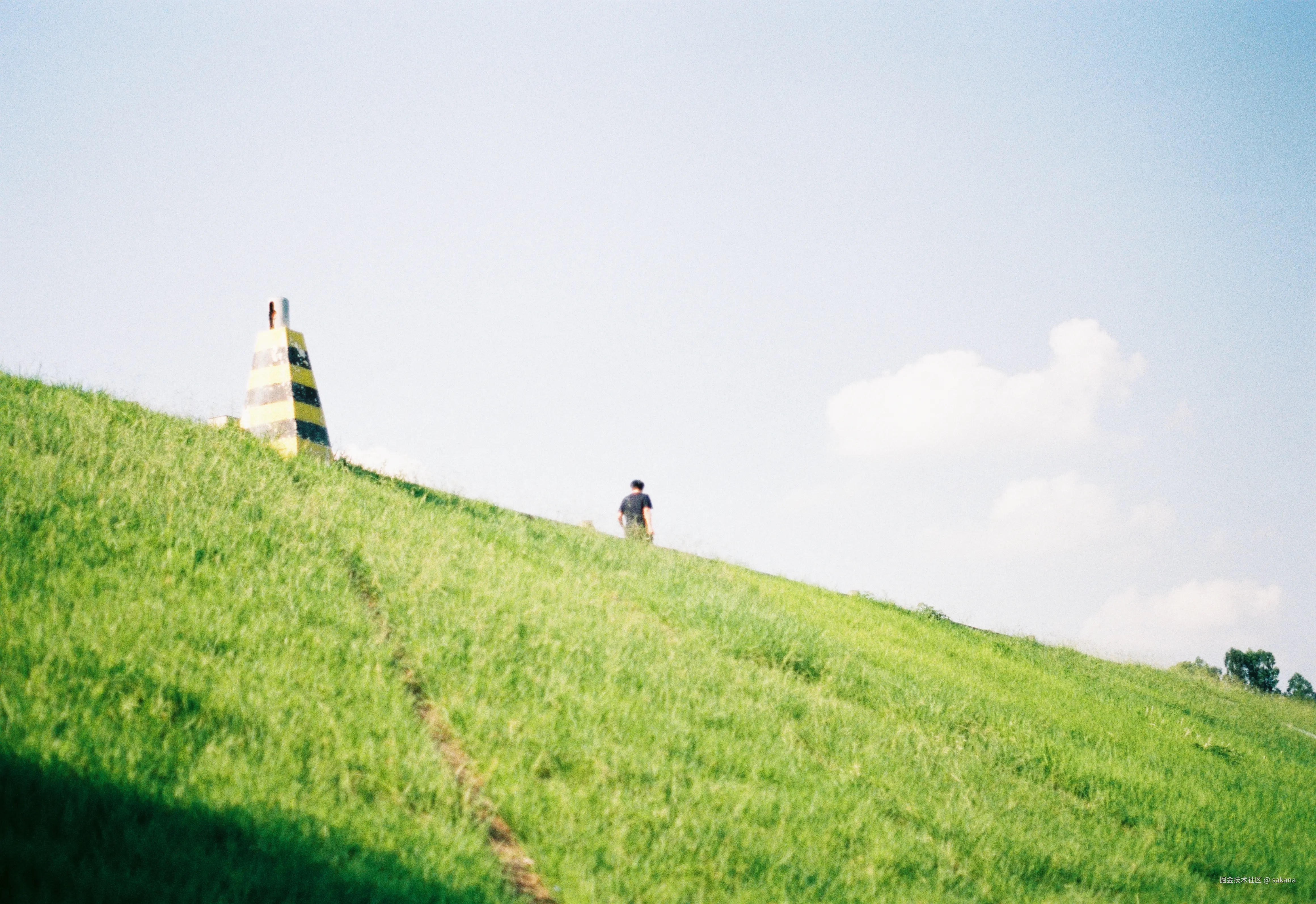 sakana于2025-07-24 16:05发布的图片