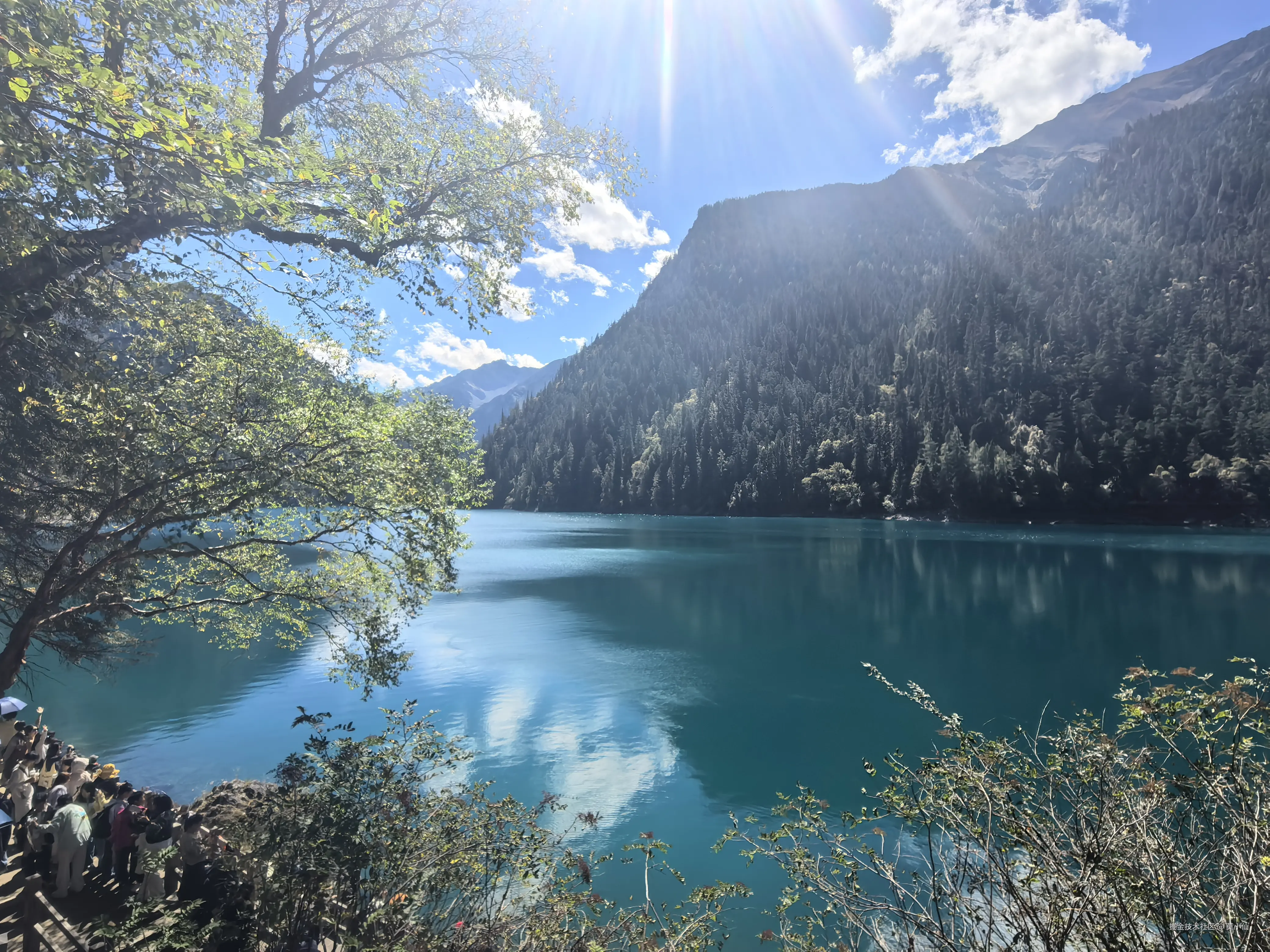 莫小仙于2025-10-09 10:54发布的图片