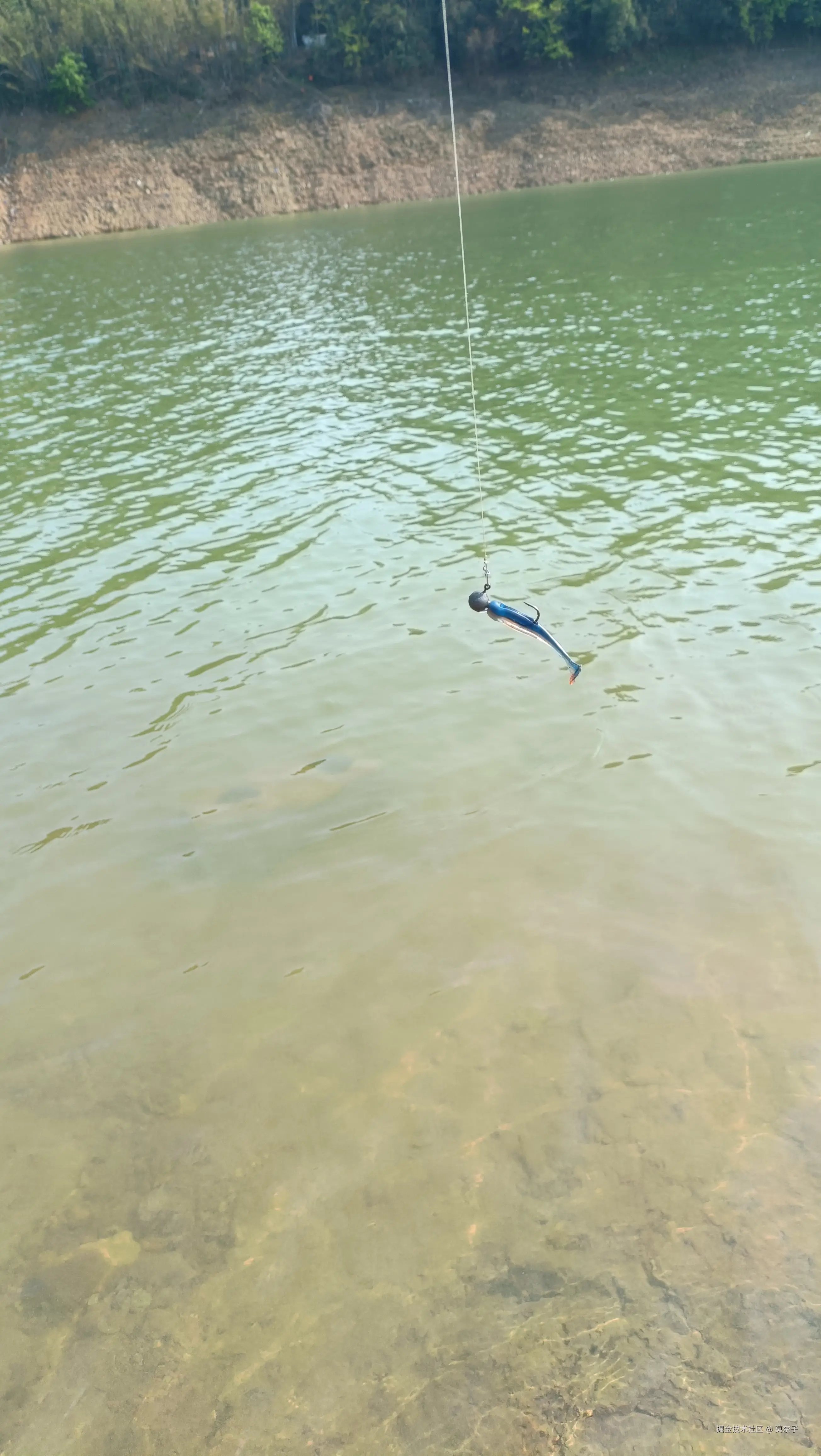 莫奈子于2025-04-02 15:57发布的图片