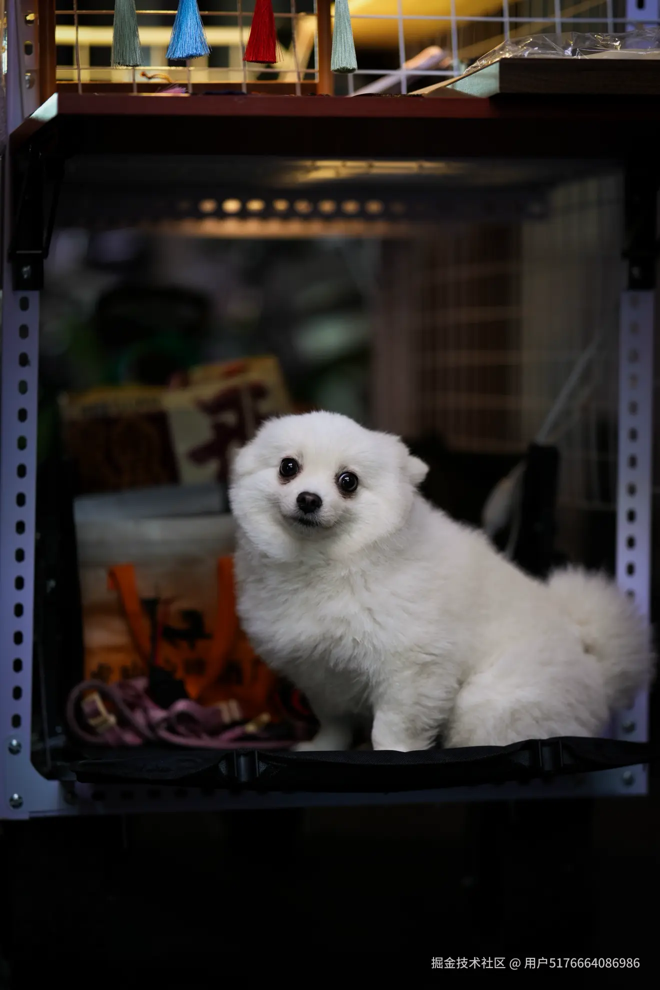 用户5176664086986于2026-04-09 11:37发布的图片