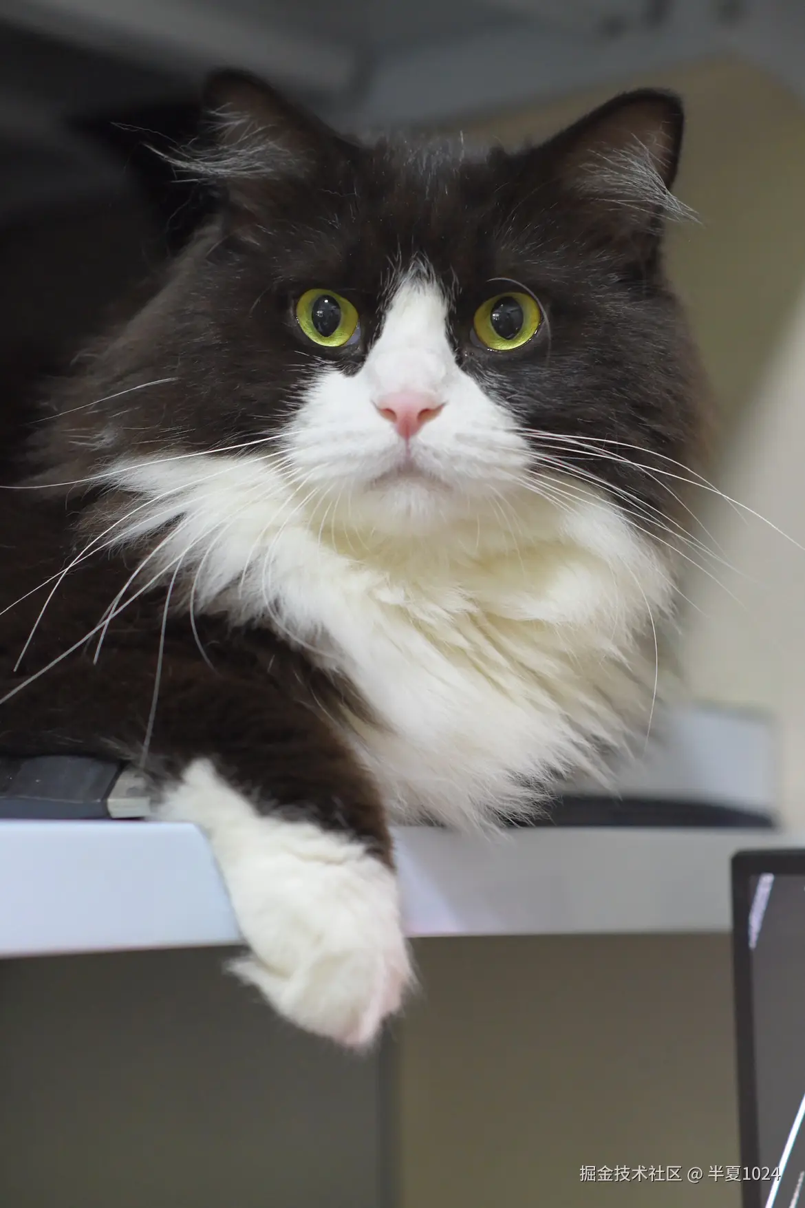 半夏1024于2024-08-05 09:56发布的图片