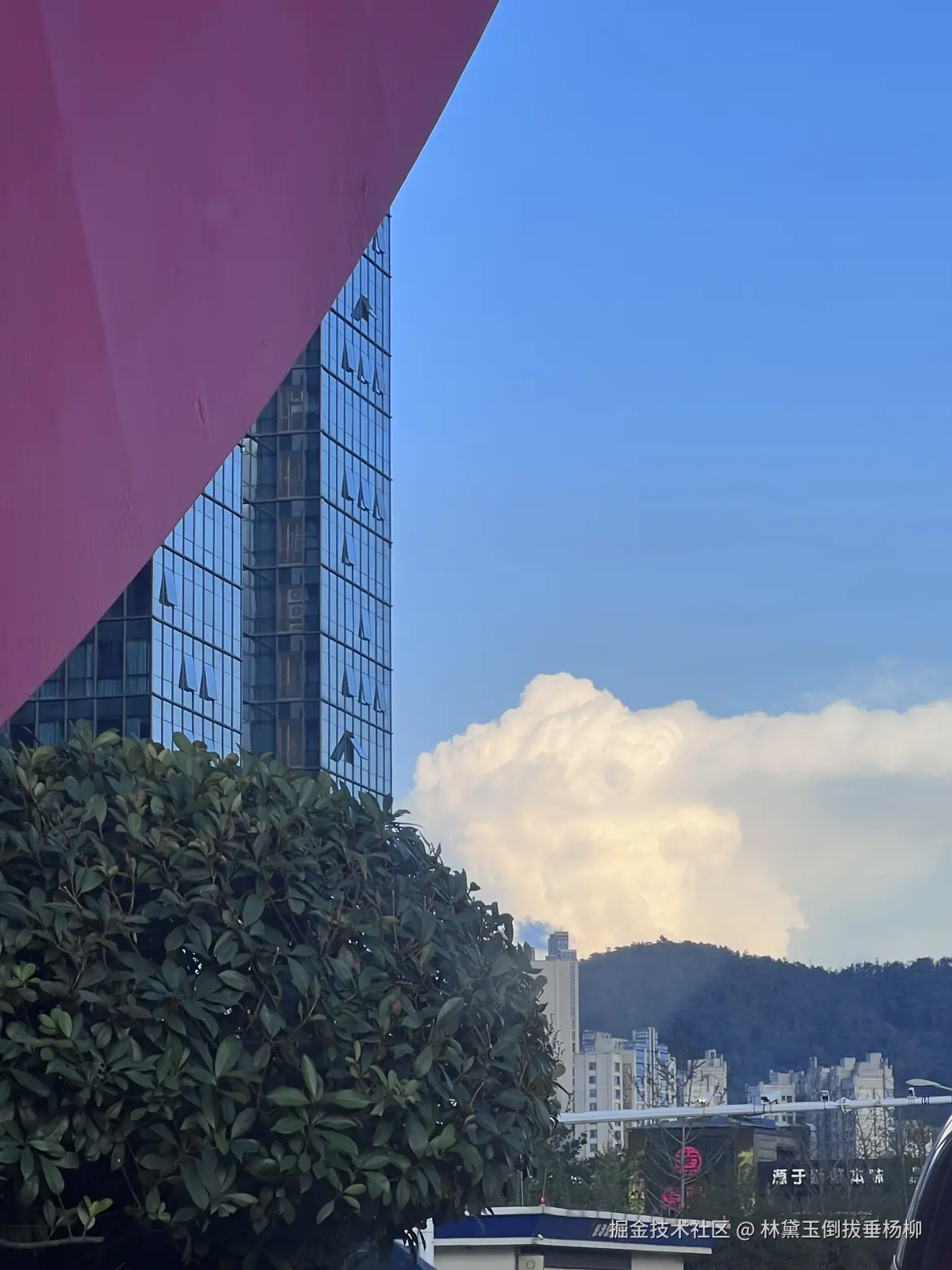 林黛玉倒拔垂杨柳于2025-07-01 03:13发布的图片