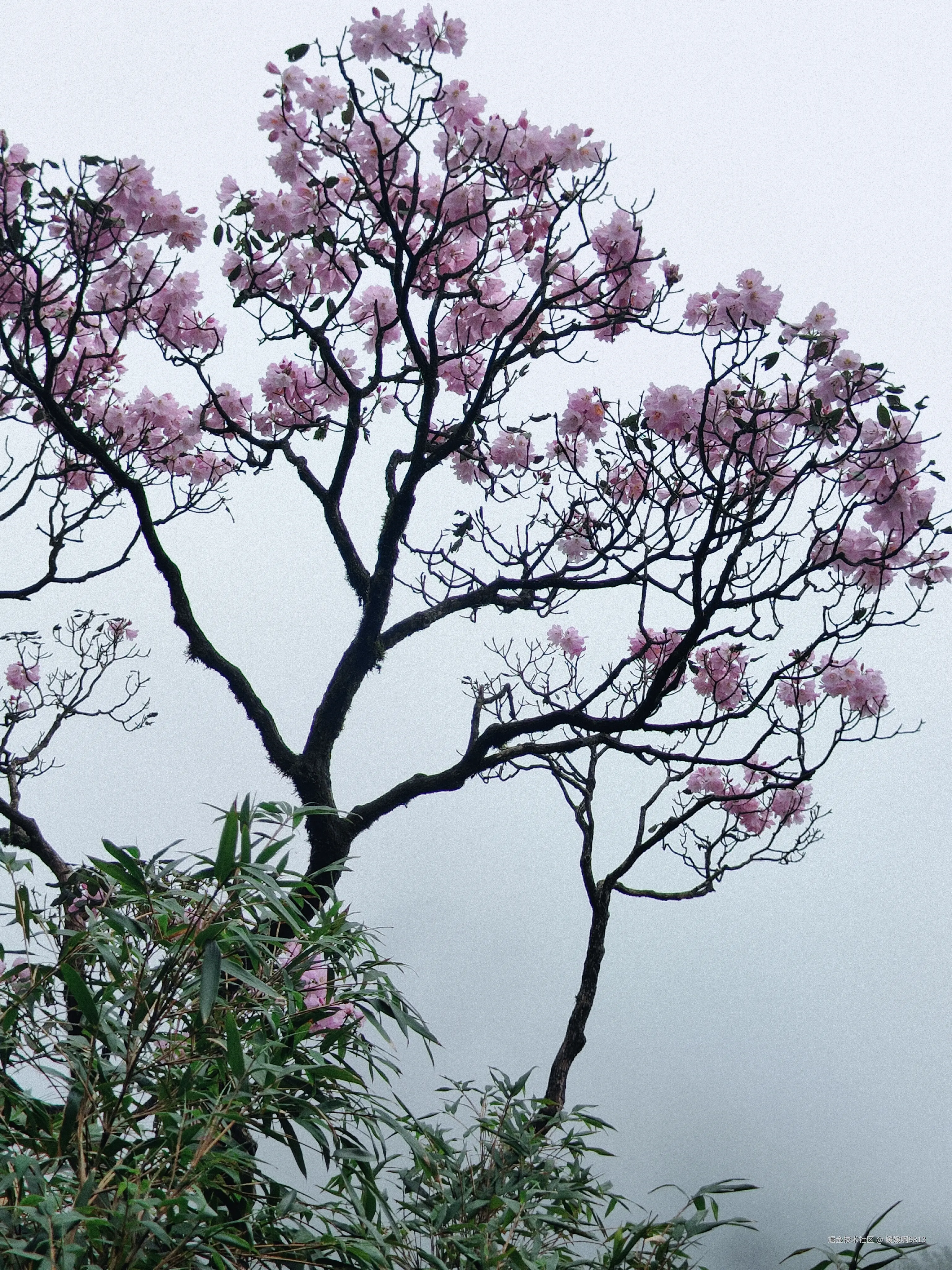 媛媛啊9813于2026-04-12 04:04发布的图片