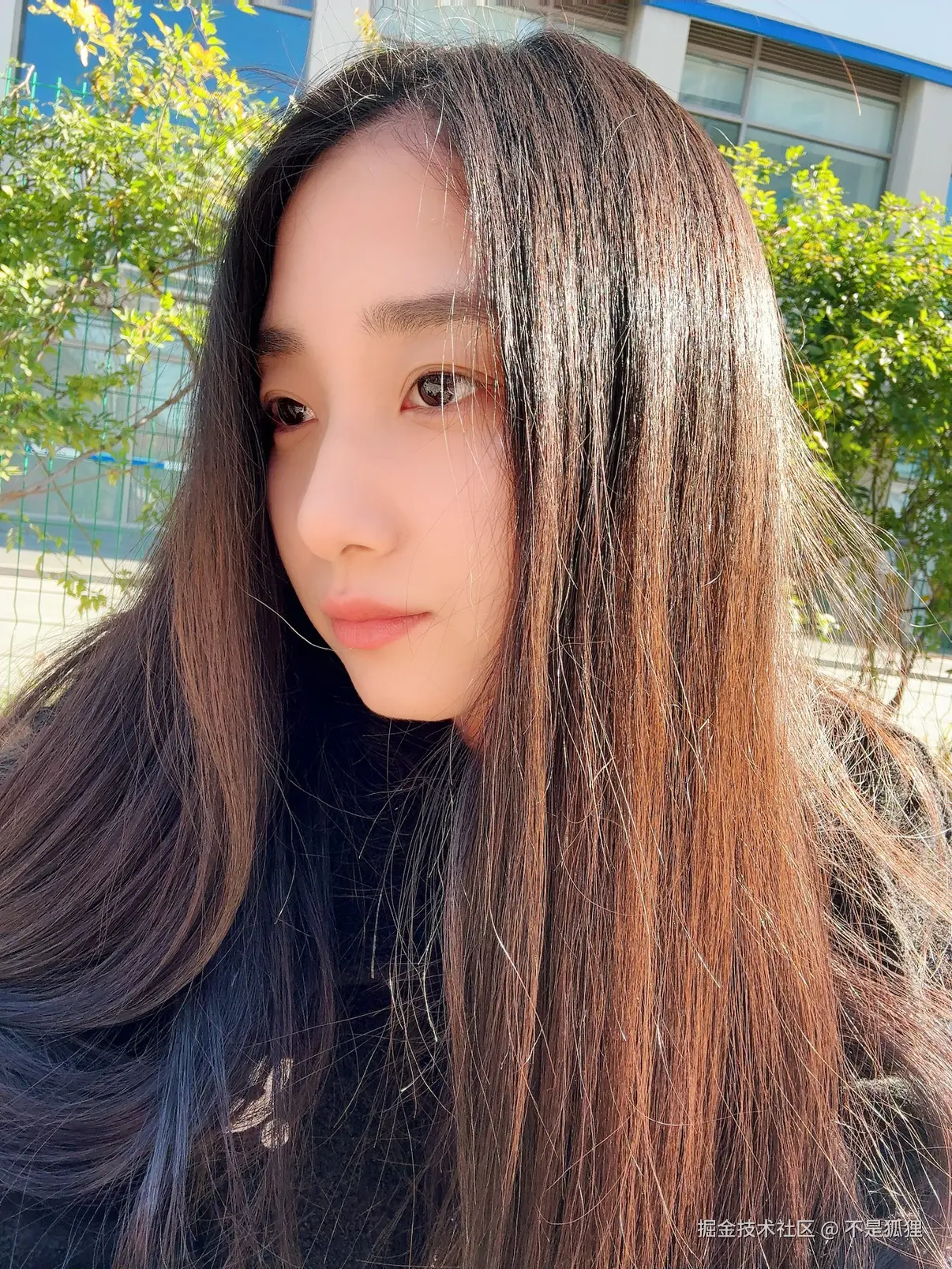 不是狐狸于2025-12-19 09:24发布的图片