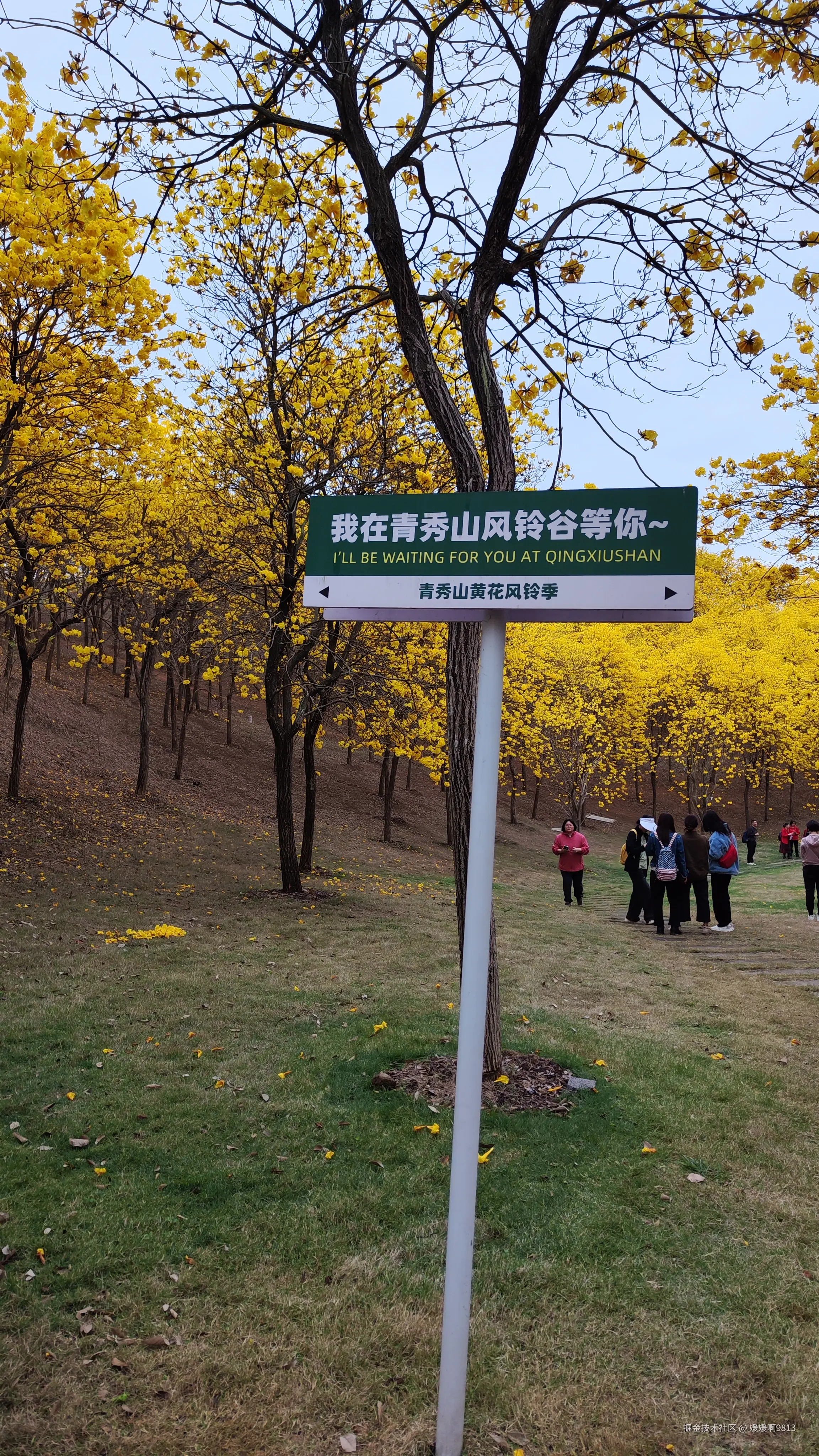 媛媛啊9813于2025-03-16 04:30发布的图片