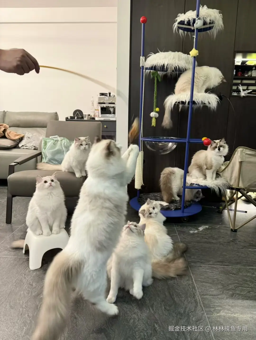 林林摸鱼专用于2024-10-29 11:33发布的图片