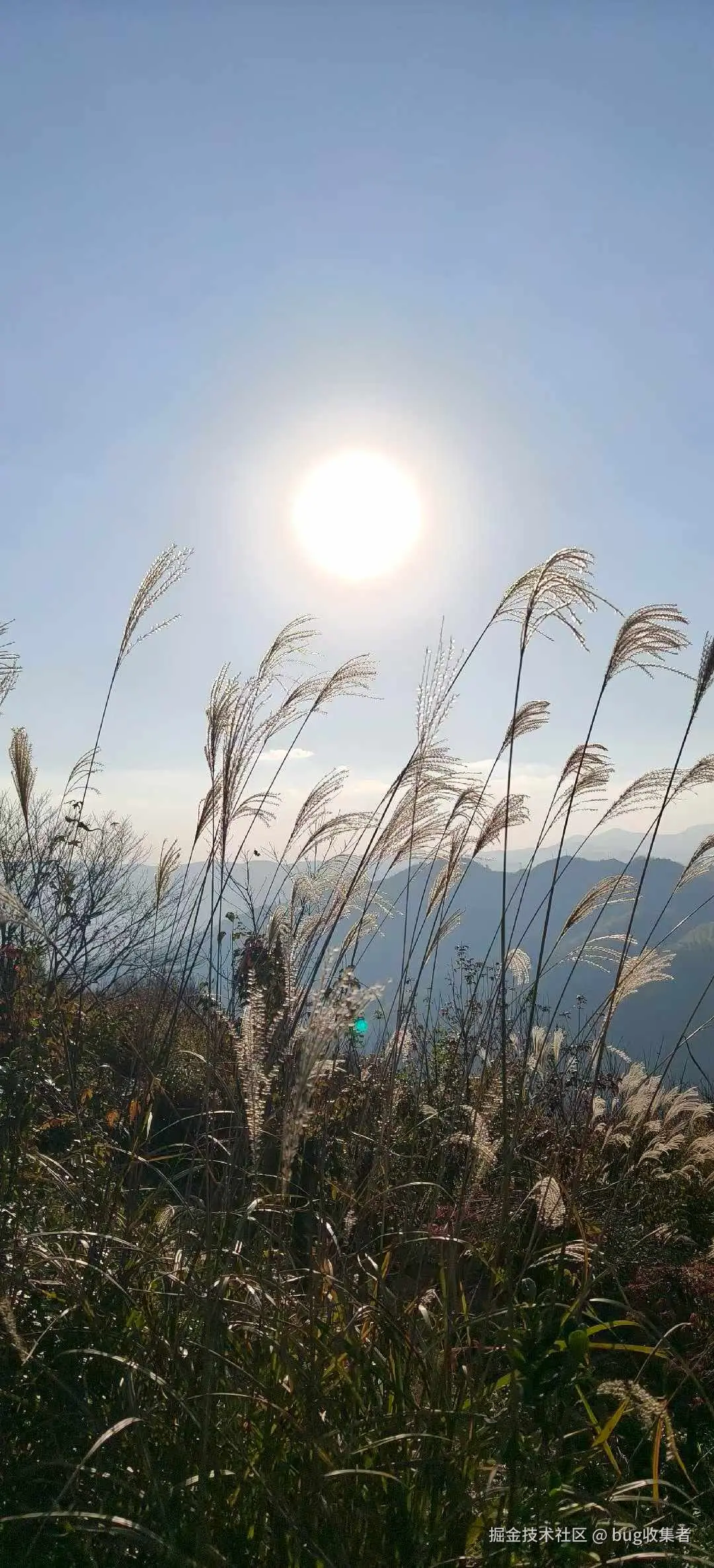 bug收集者于2025-11-17 13:02发布的图片