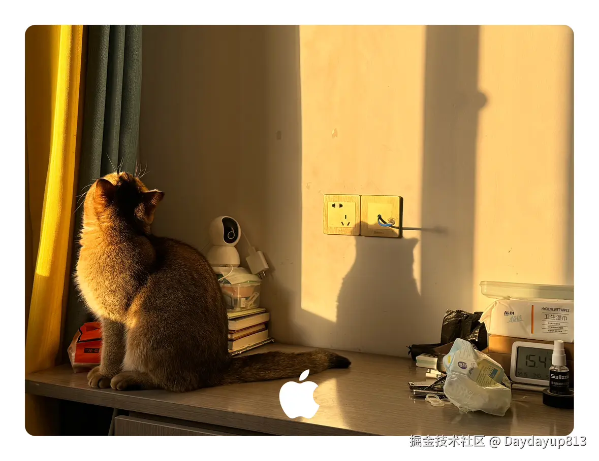 Daydayup813于2024-12-16 14:14发布的图片