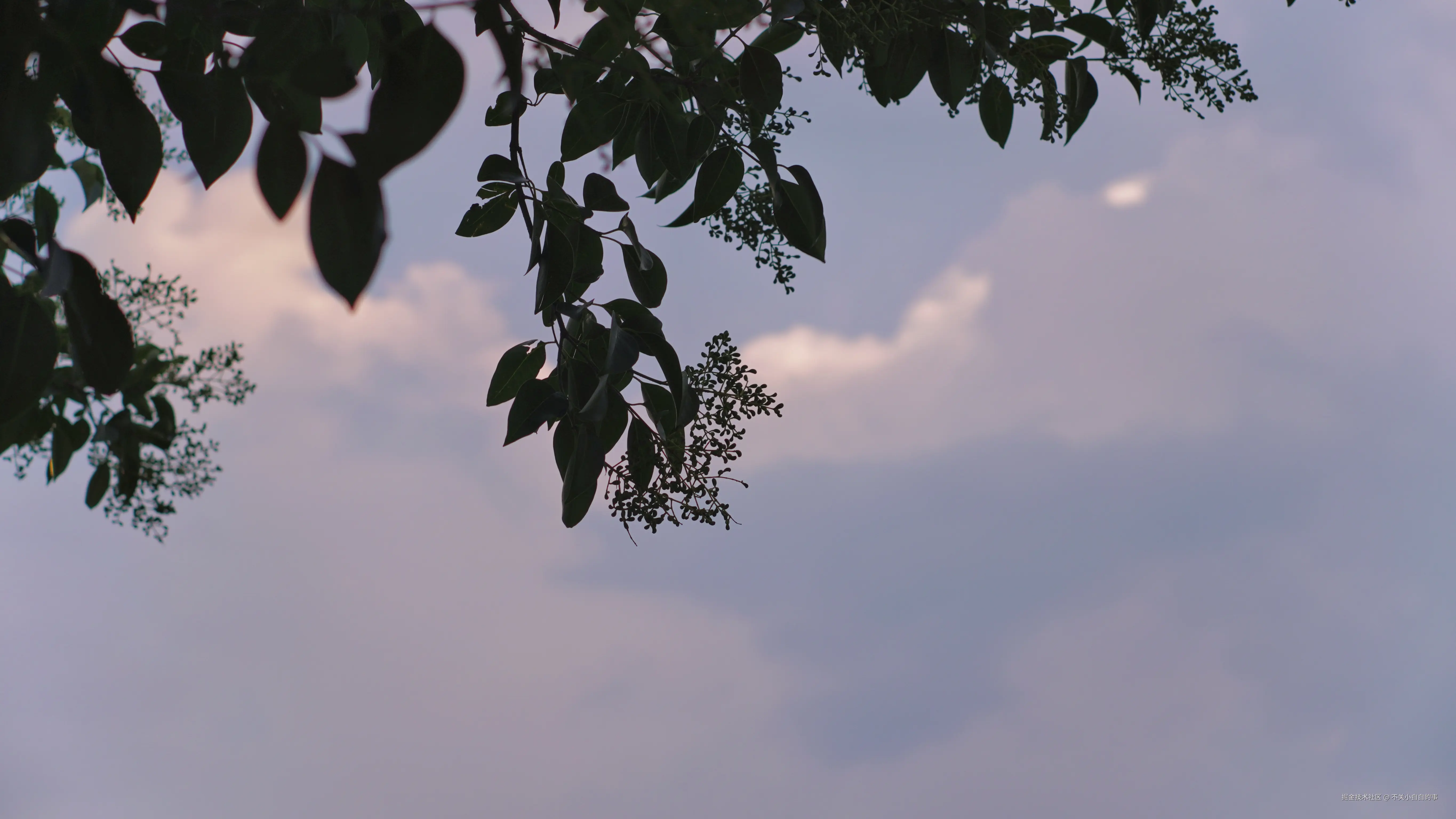 不关小白白的事于2024-08-12 09:42发布的图片