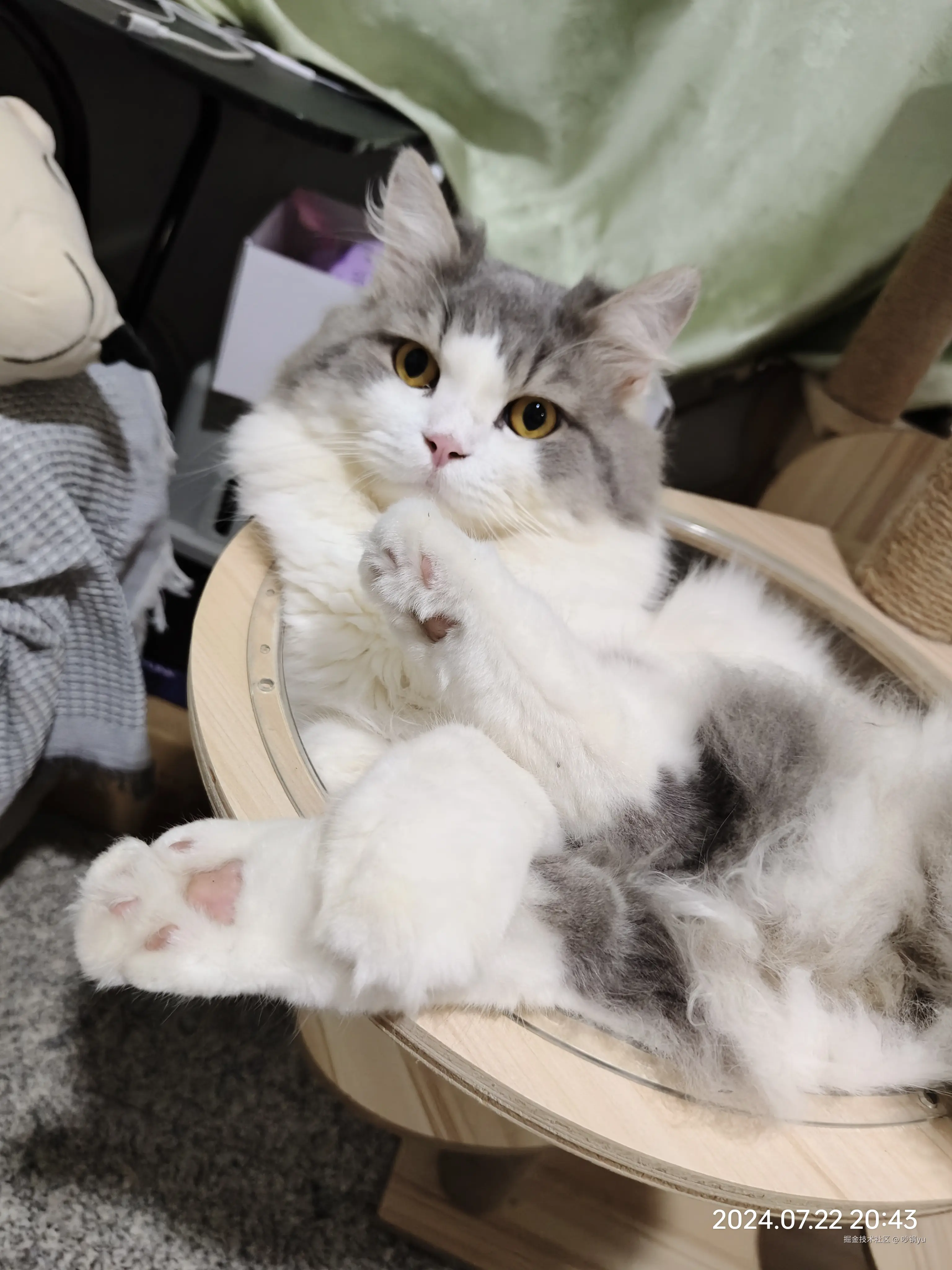 吵钢yu于2024-07-27 15:44发布的图片