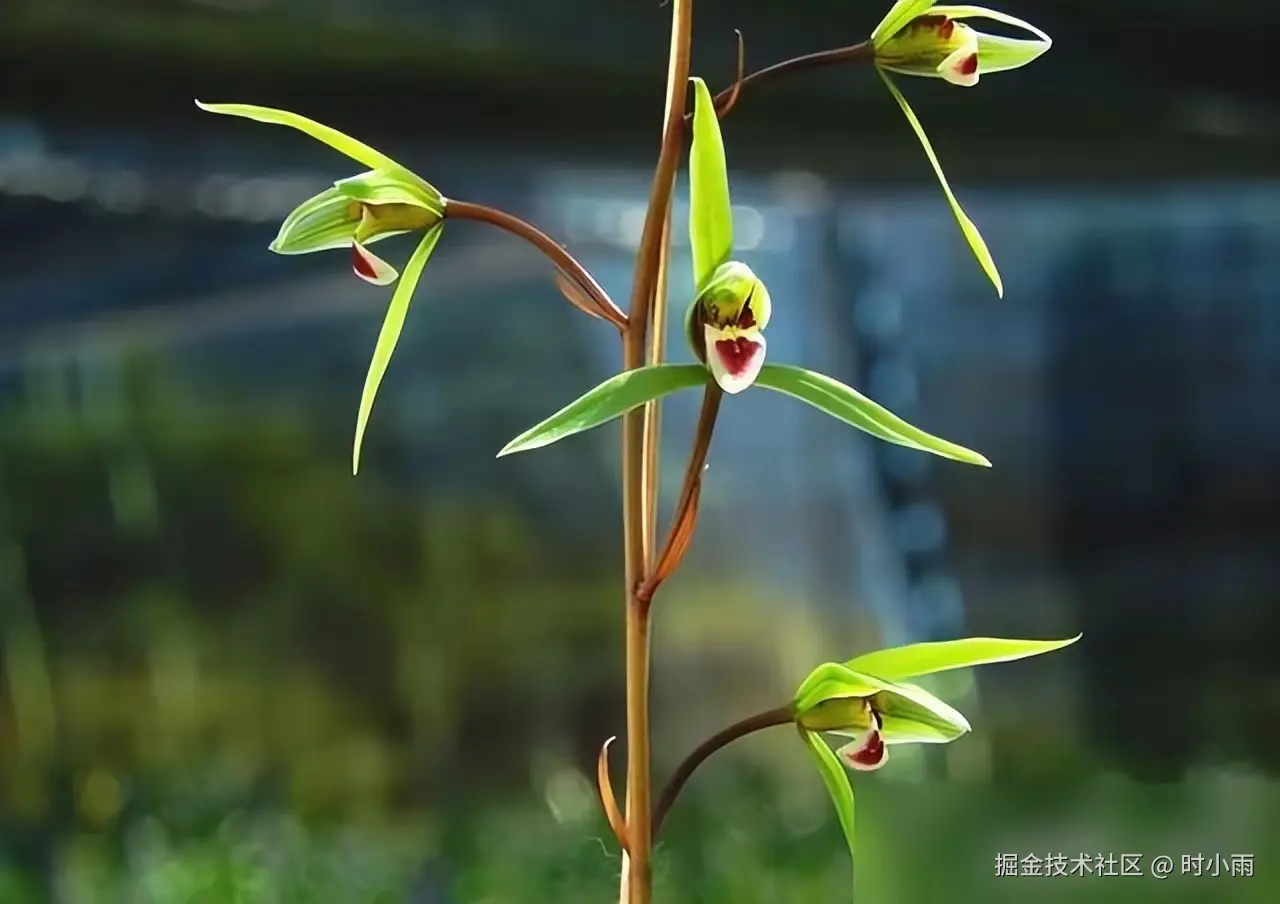 时小雨于2025-06-02 13:29发布的图片