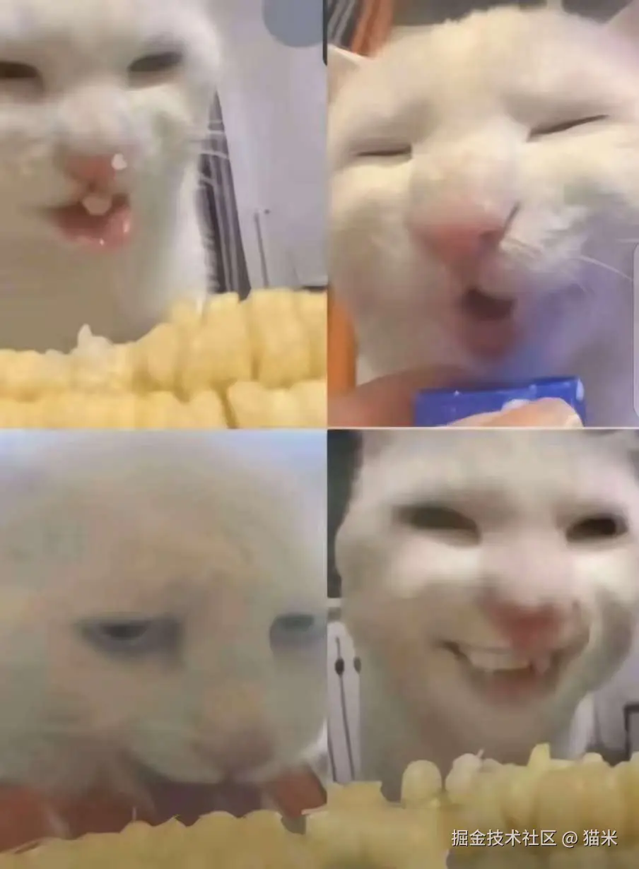 猫米于2025-09-24 15:57发布的图片