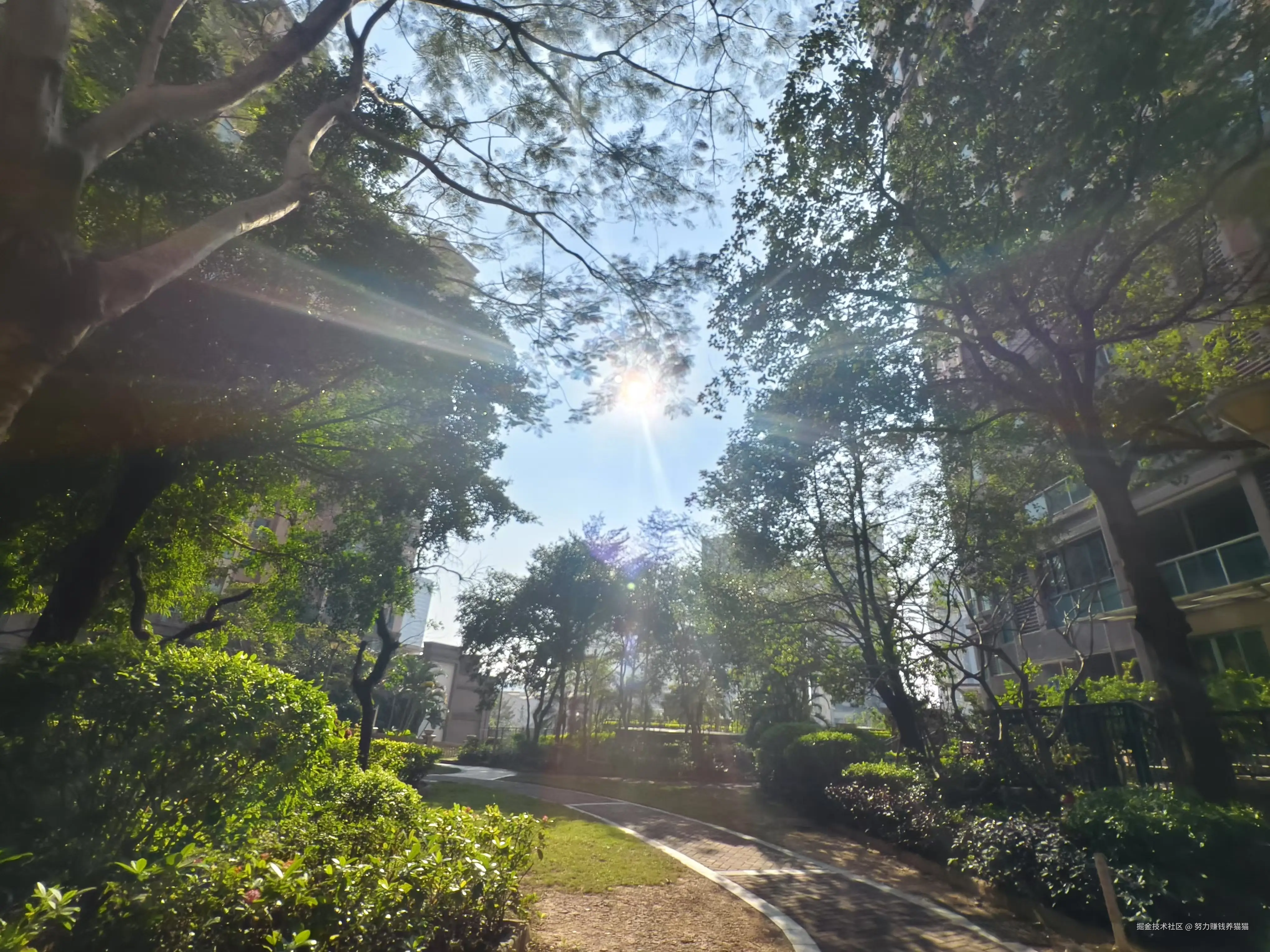 努力赚钱养猫猫于2024-12-17 14:28发布的图片