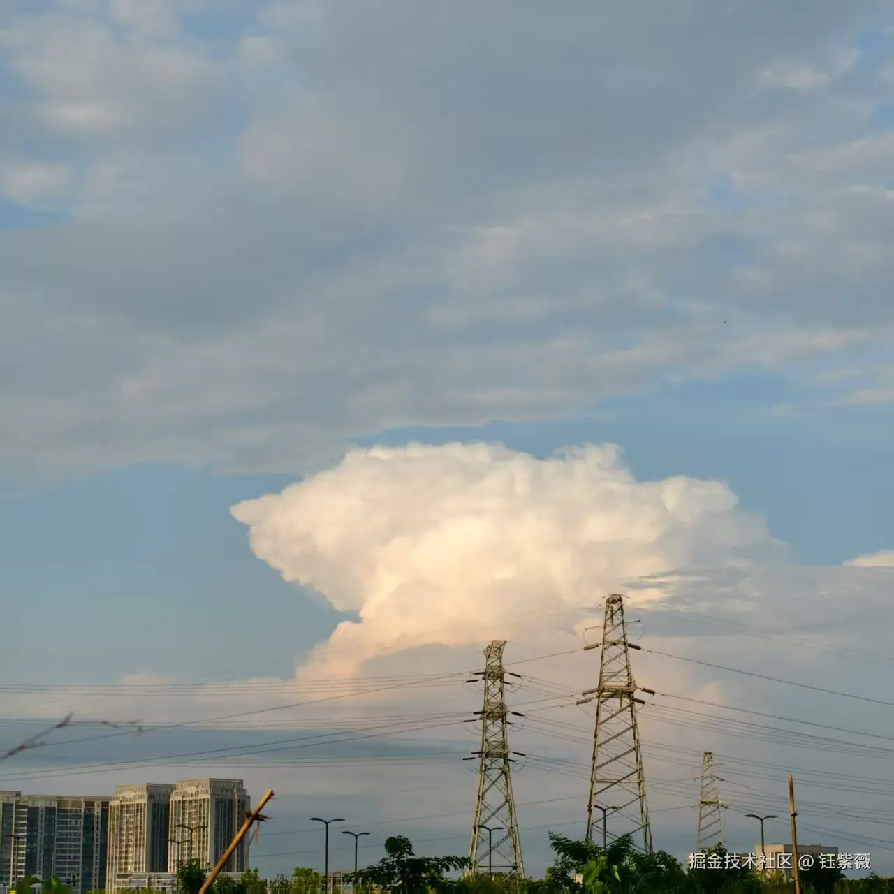 钰紫薇于2025-07-21 14:04发布的图片