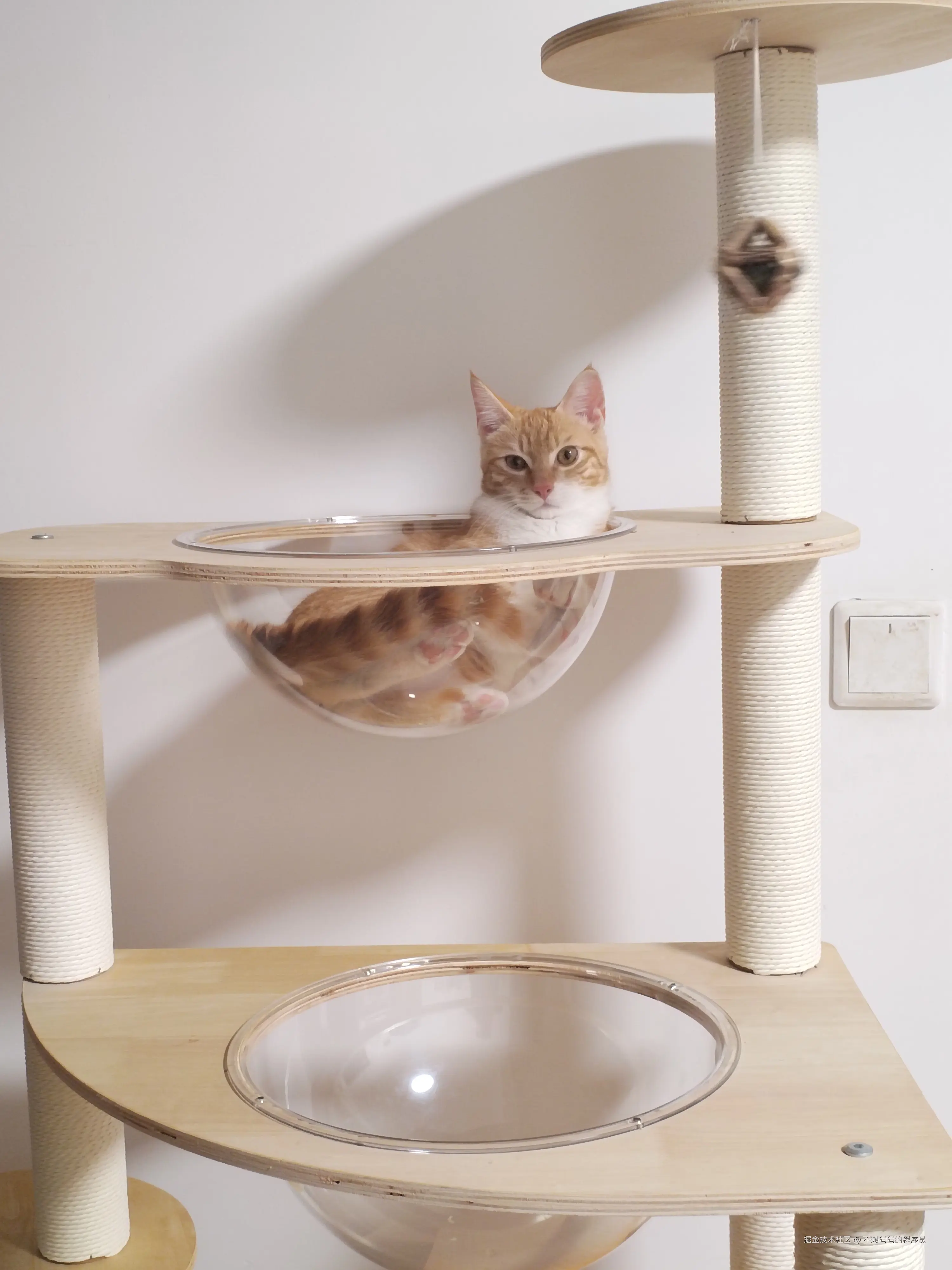 不想码码的程序员于2025-08-12 14:23发布的图片