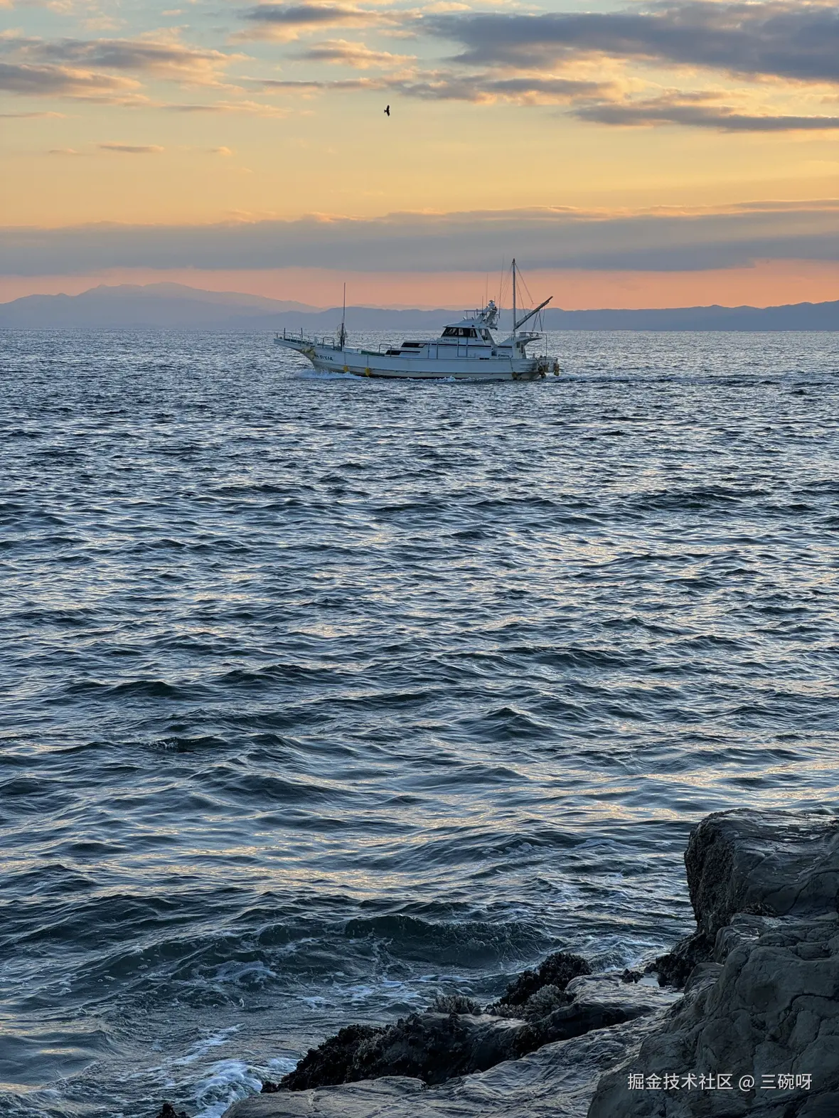 三碗呀于2025-03-31 05:46发布的图片