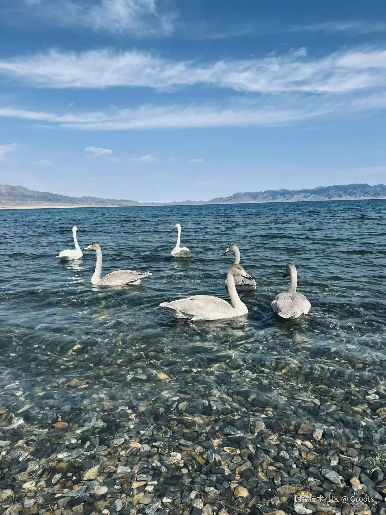 Groots于2025-09-29 09:56发布的图片