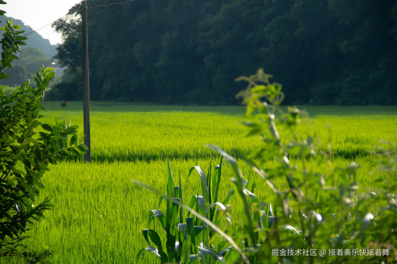 接着奏乐快接着舞于2024-09-26 00:54发布的图片