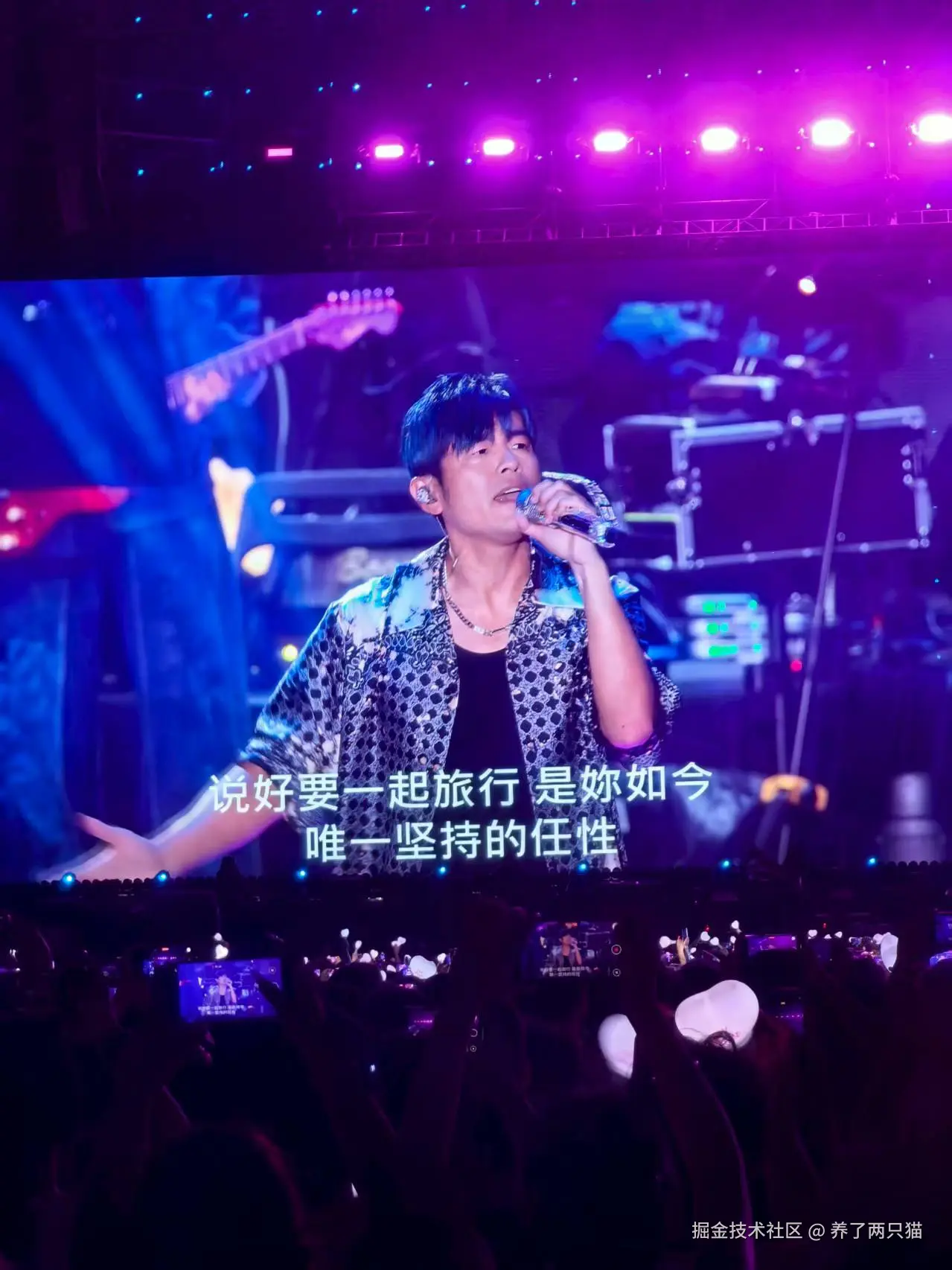 养了两只猫于2025-07-16 11:32发布的图片