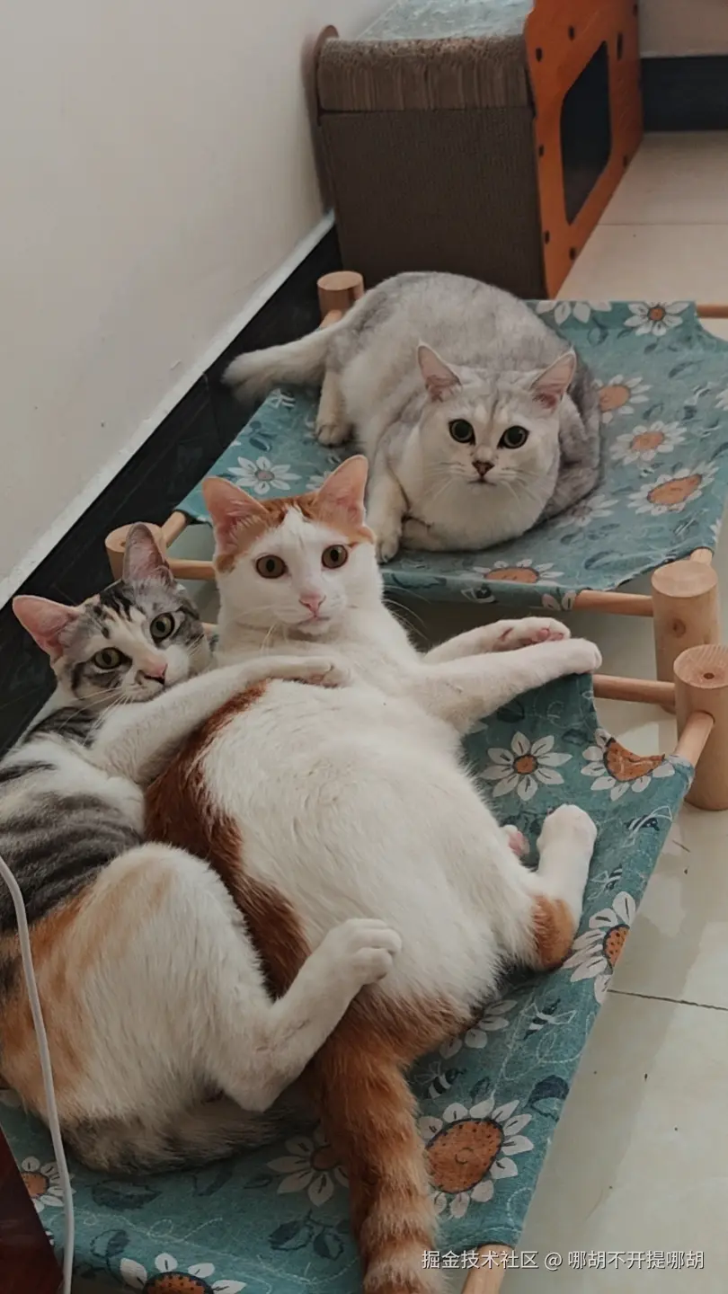 哪胡不开提哪胡于2025-06-24 08:33发布的图片