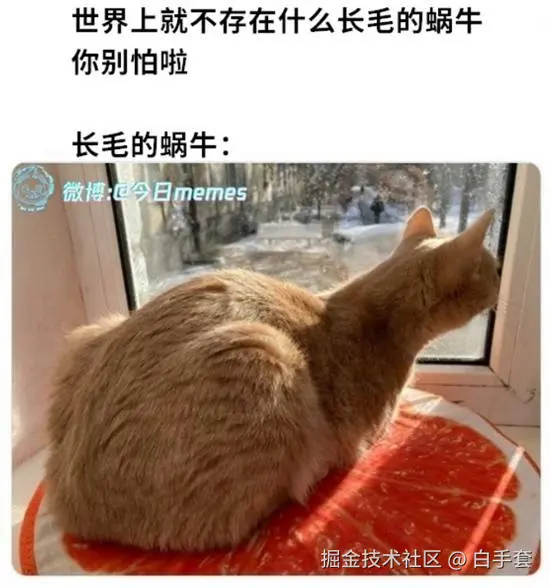 白手套于2025-10-20 10:35发布的图片