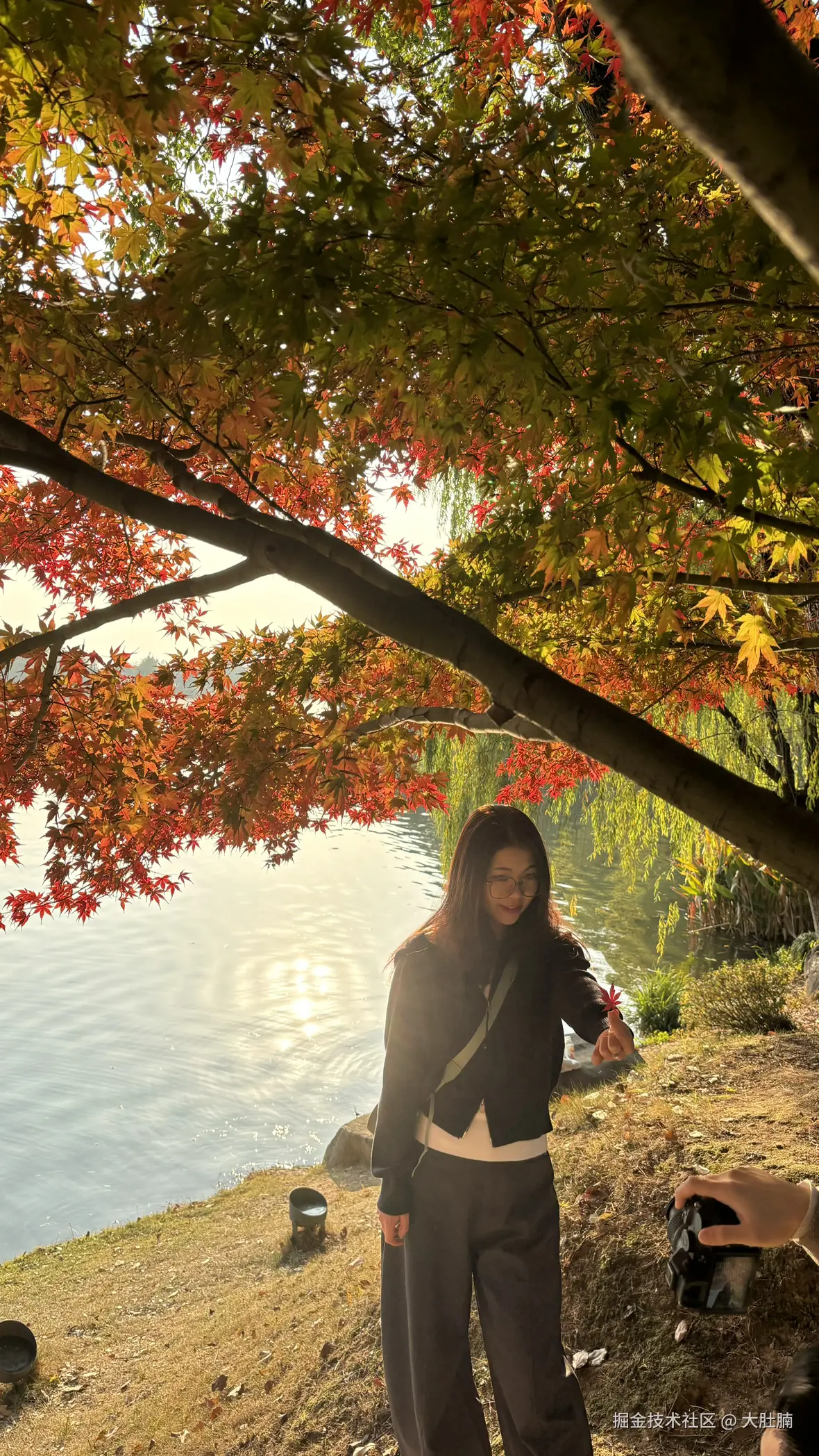 大肚腩于2025-12-08 11:13发布的图片