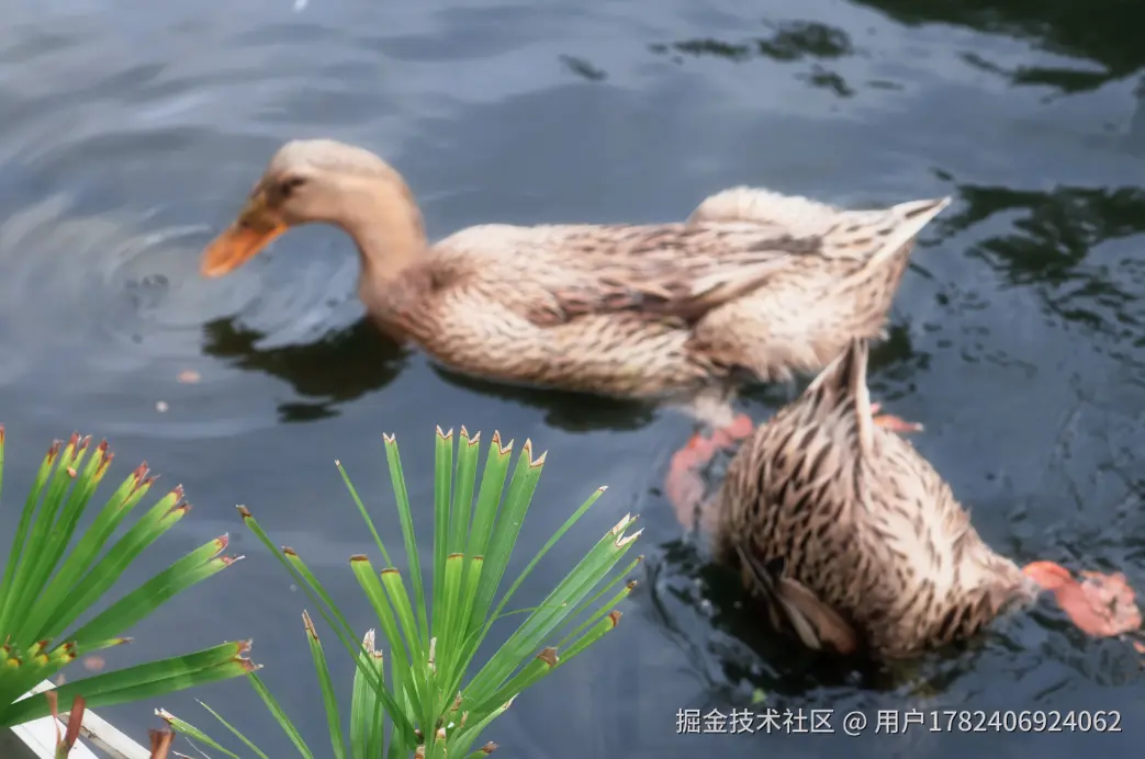 用户1782406924062于2026-04-08 10:09发布的图片