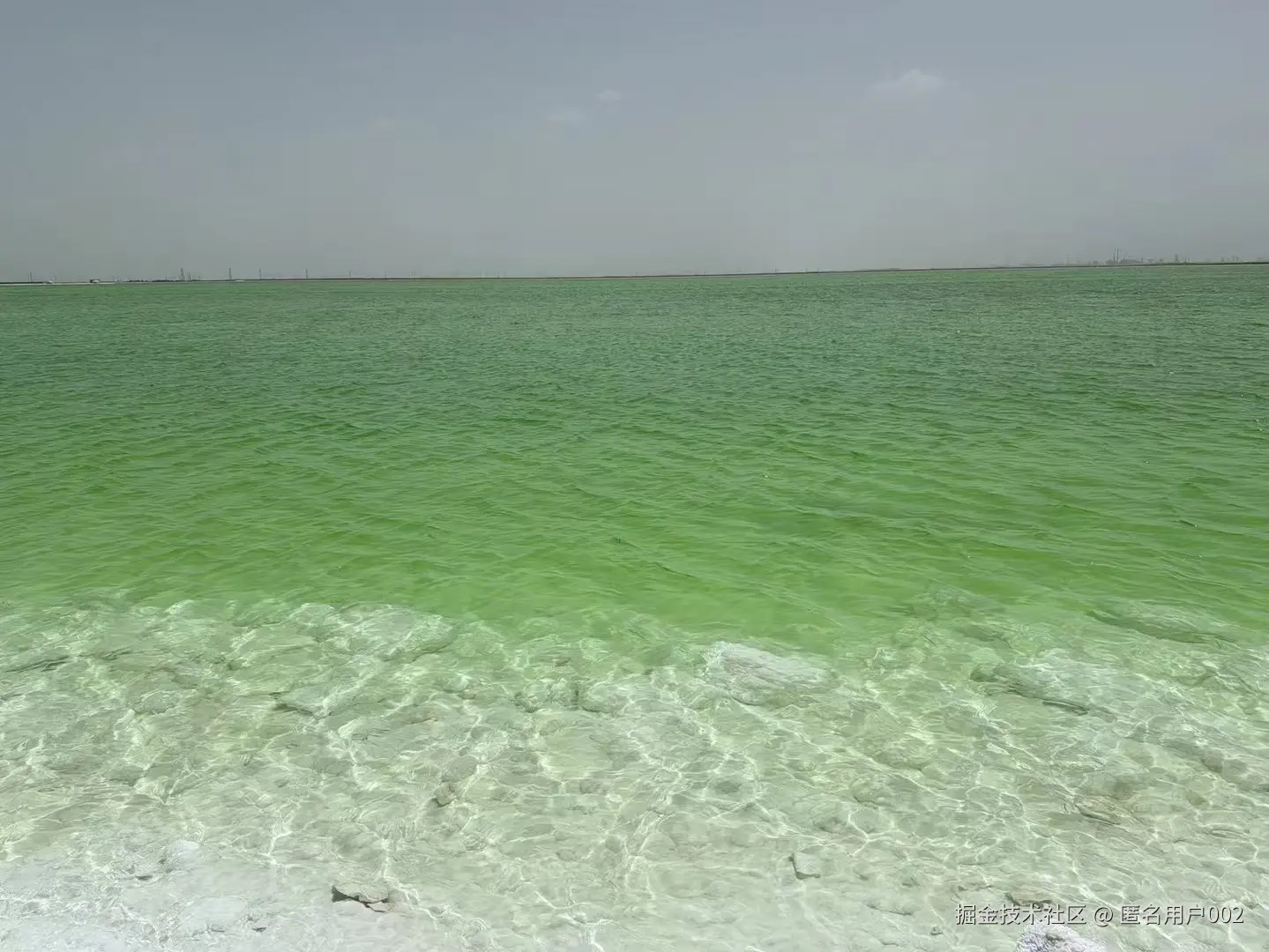 匿名用户002于2026-04-13 14:24发布的图片