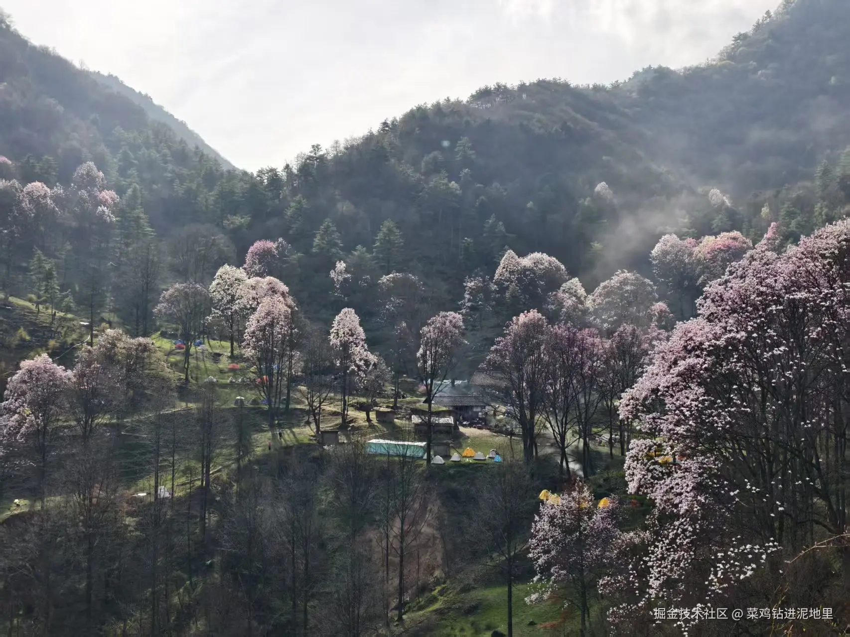菜鸡钻进泥地里于2026-04-07 09:58发布的图片